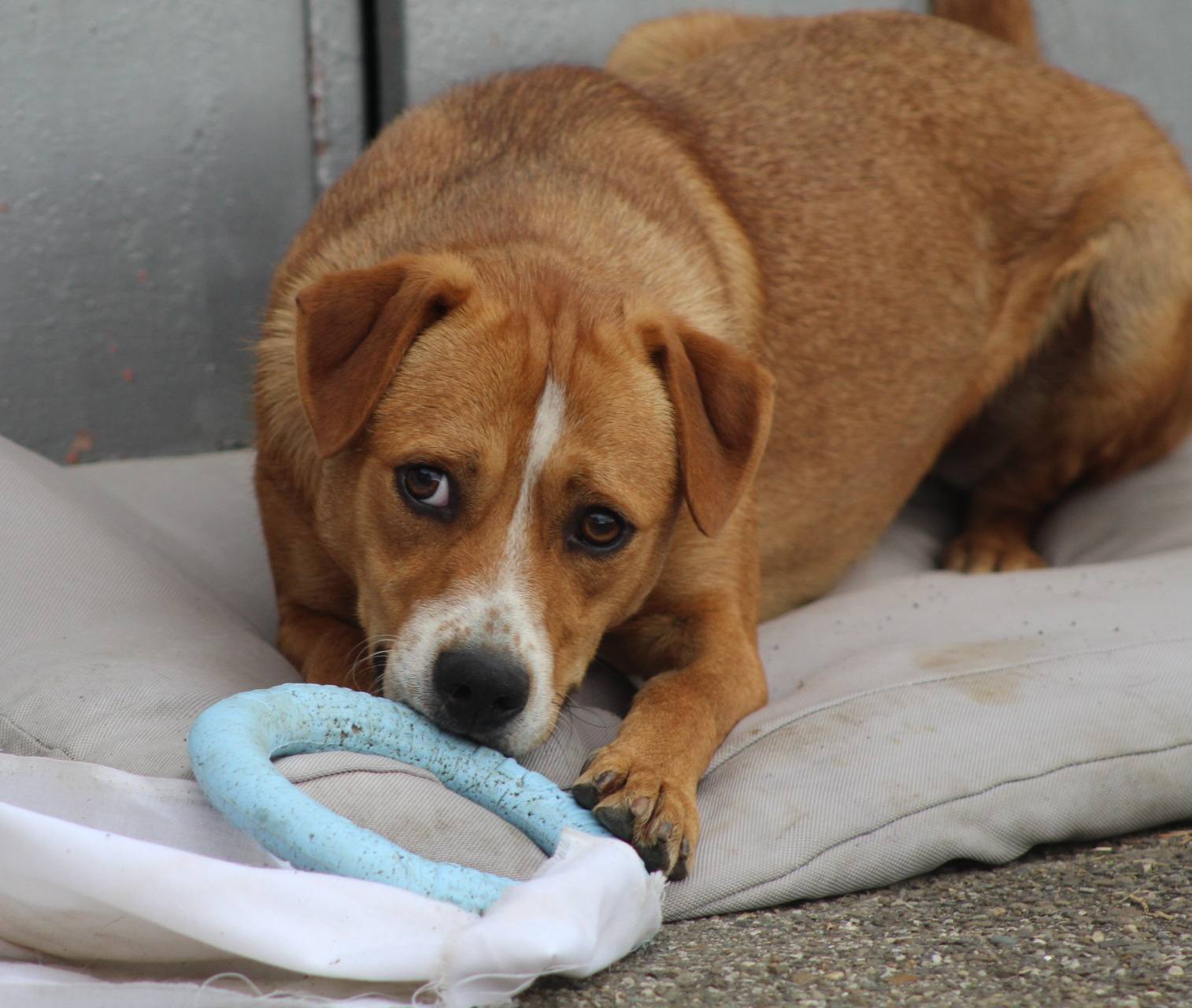 Kiko Casa lui Patrocle 7