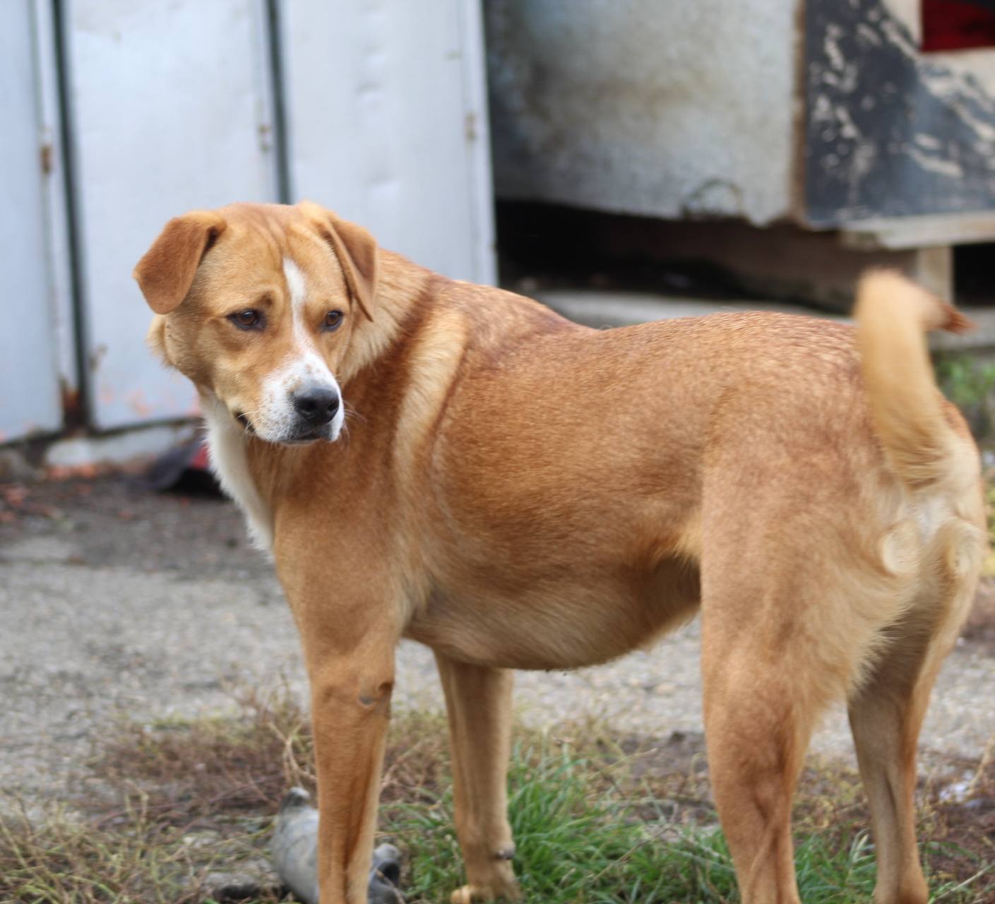 Kiko Casa lui Patrocle 8