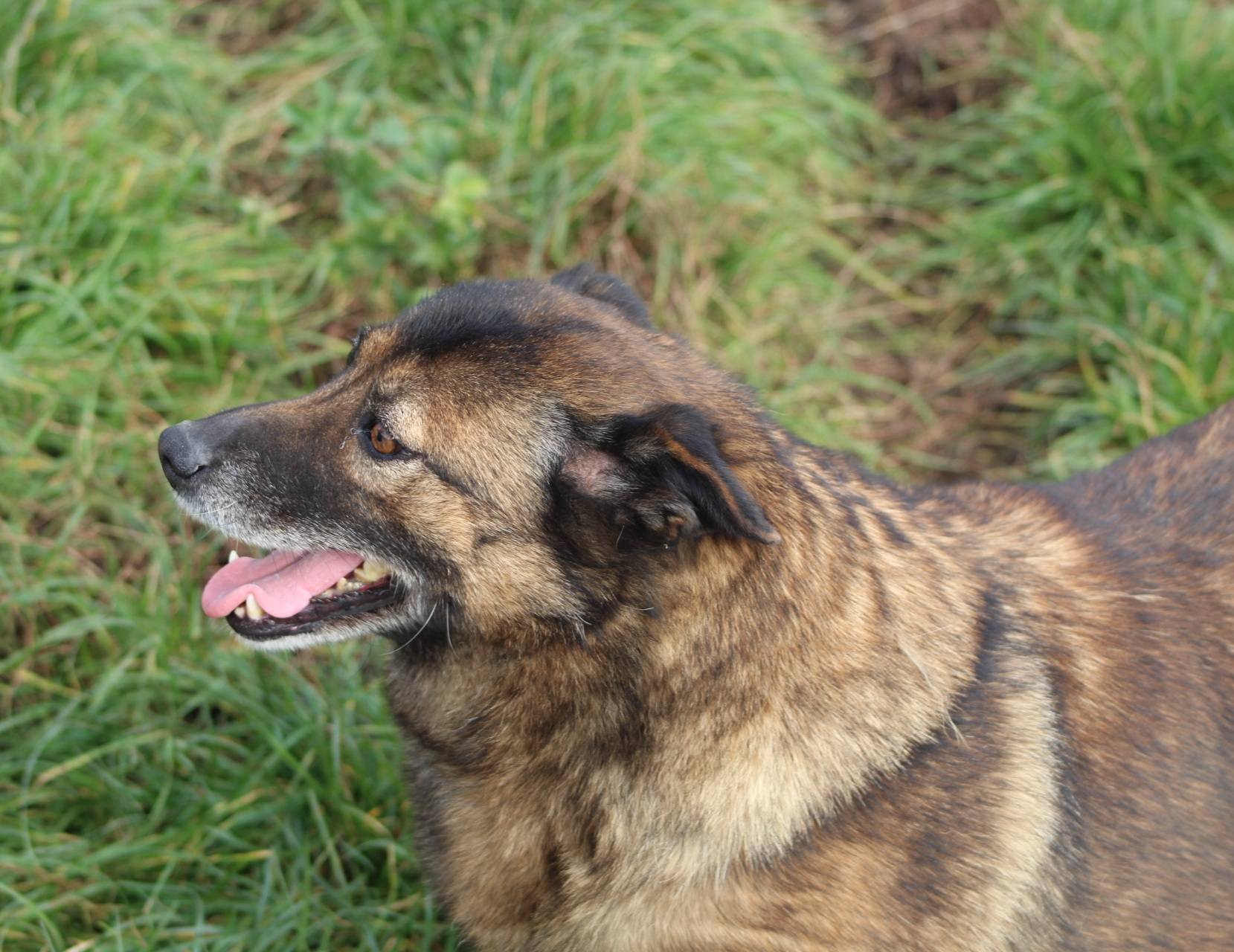 Kimi Casa lui Patrocle 2