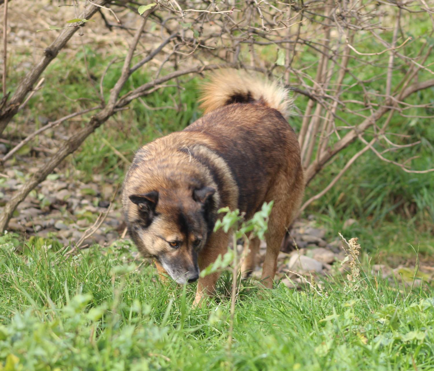 Kimi Casa lui Patrocle 3