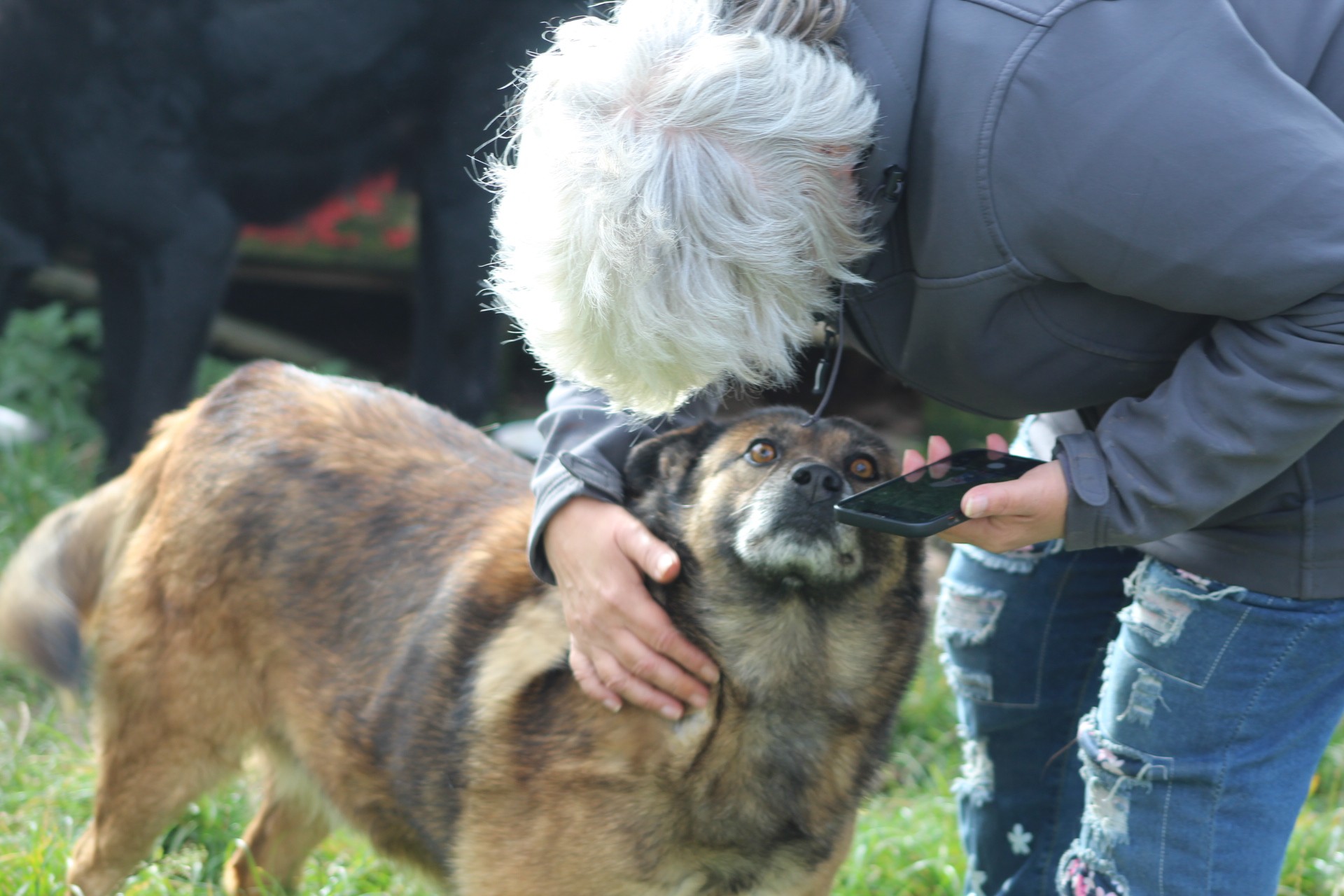 Kimi Casa lui Patrocle 4