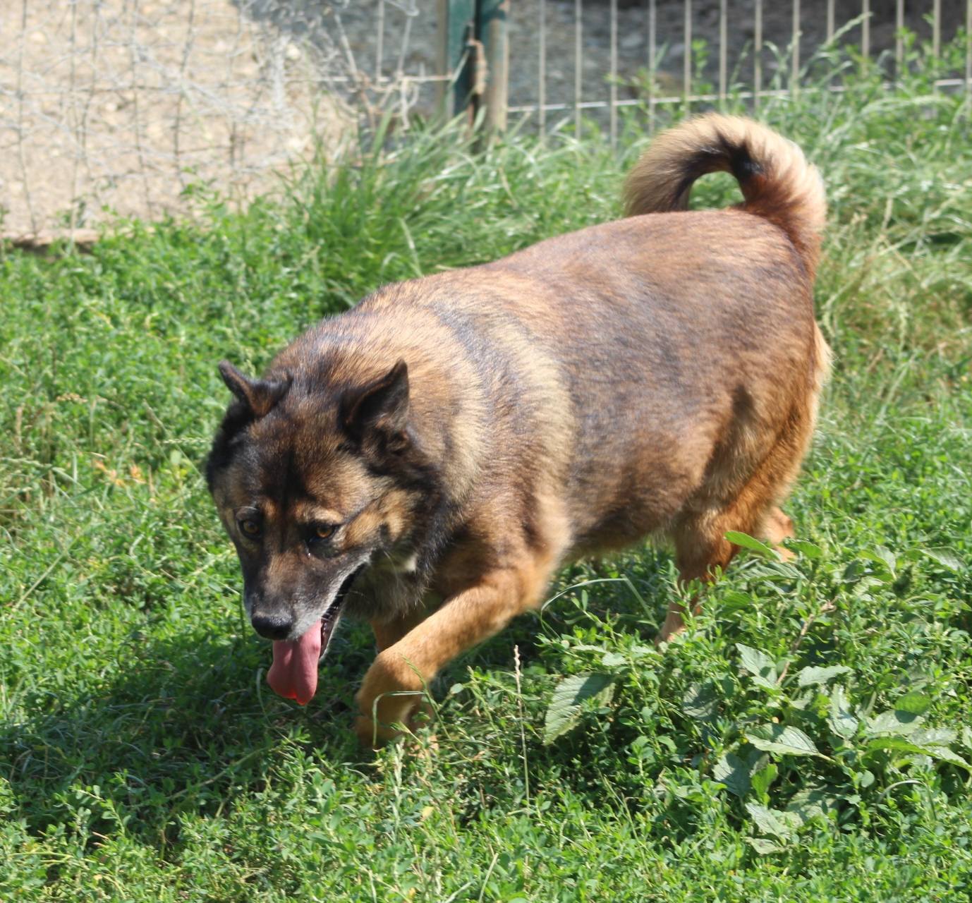 Kimi Casa lui Patrocle 6