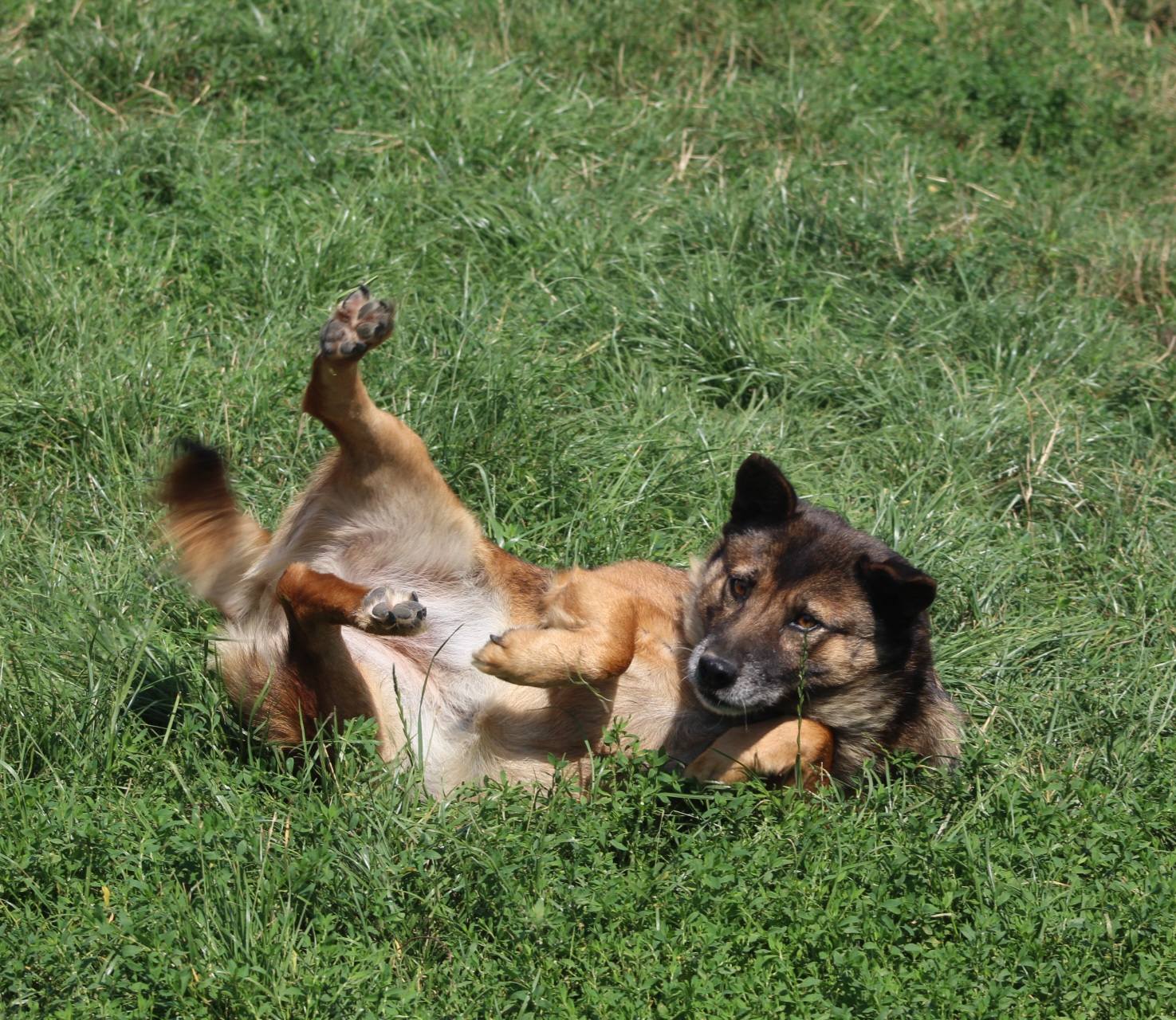 Kimi Casa lui Patrocle 7