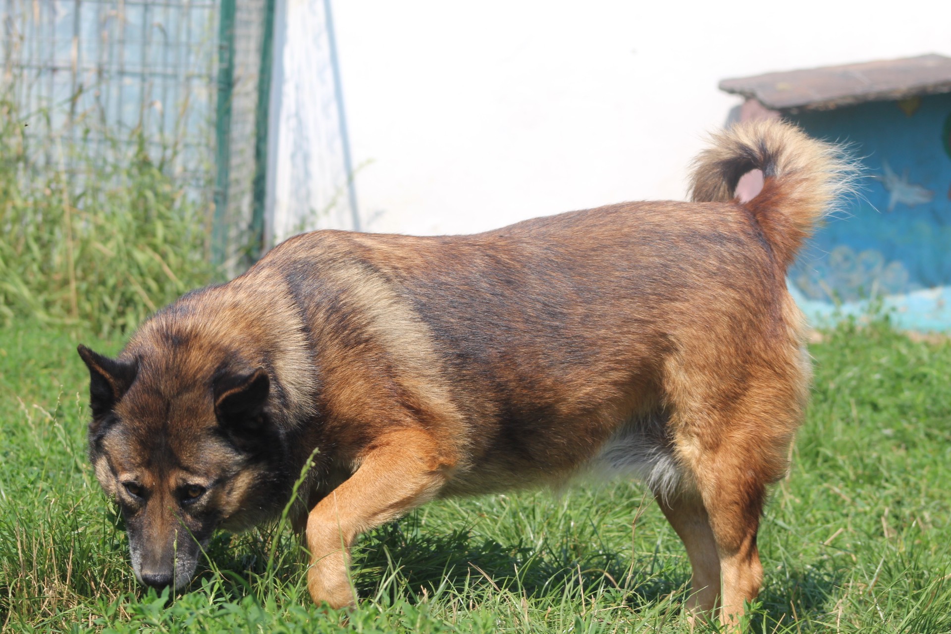 Kimi Casa lui Patrocle 8