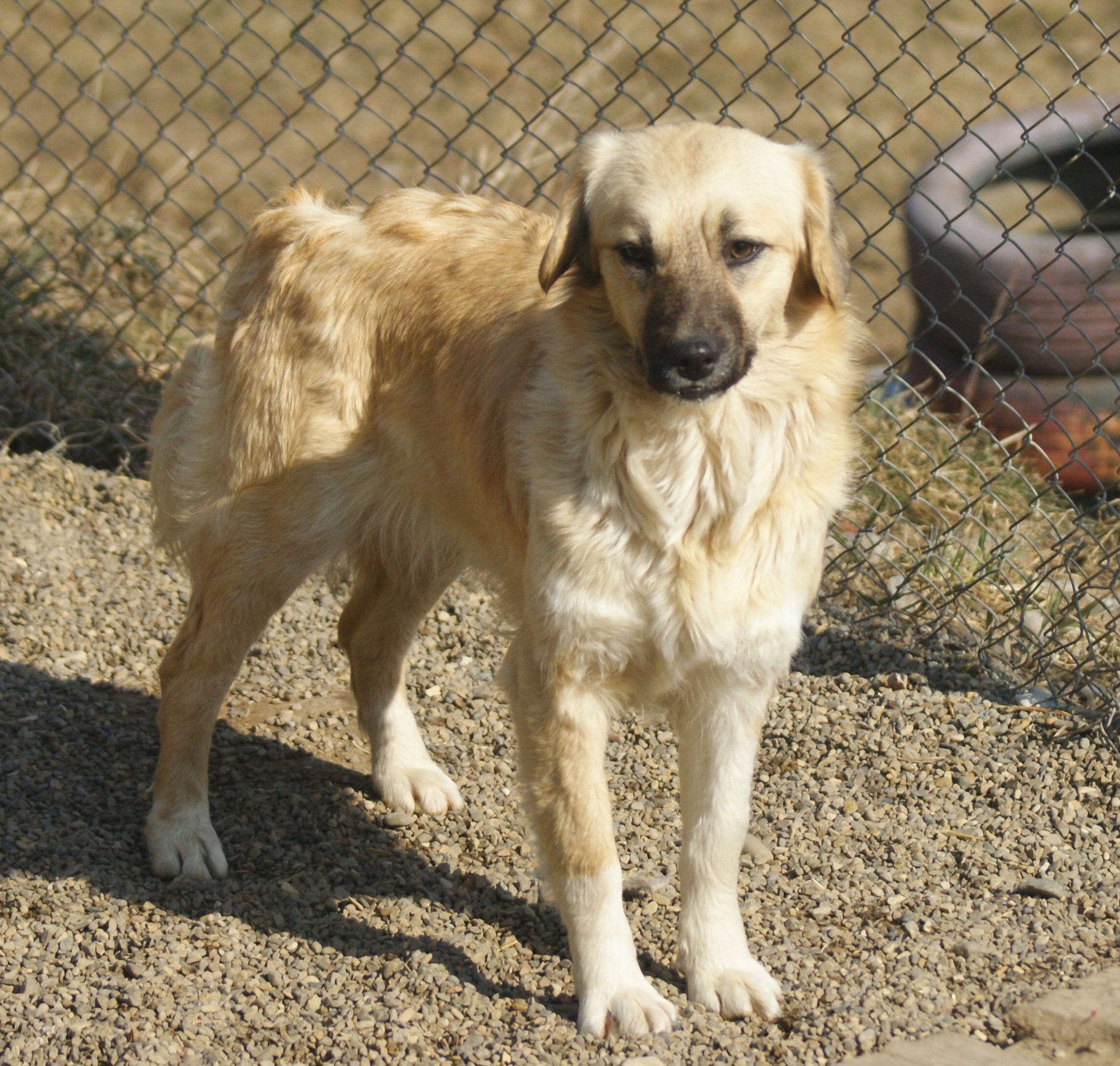 Lara Casa lui Patrocle 2