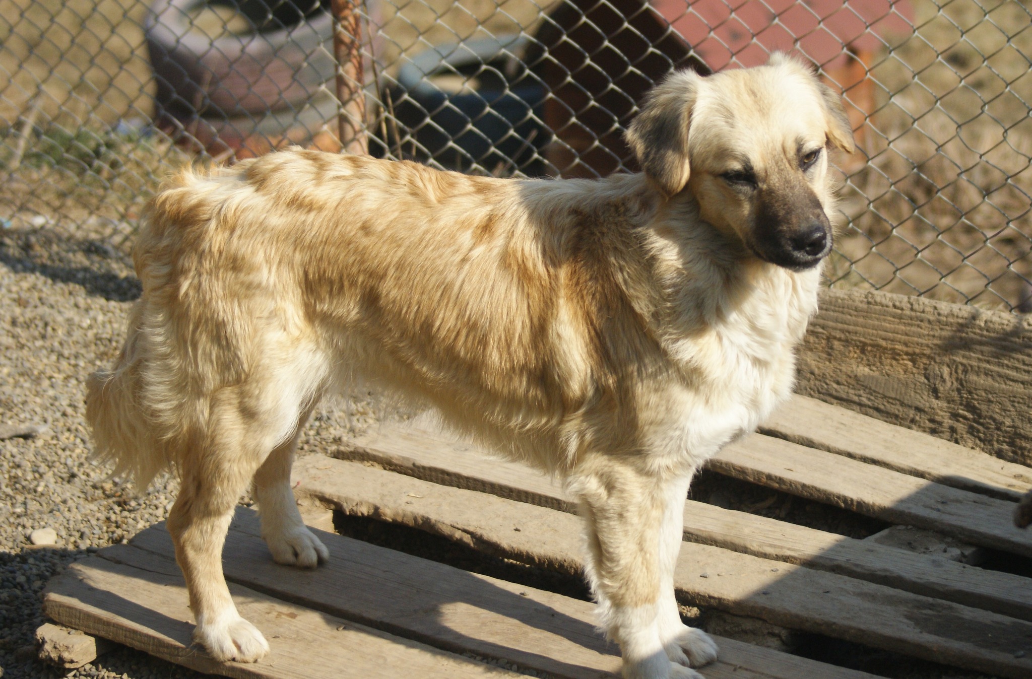 Lara Casa lui Patrocle 3
