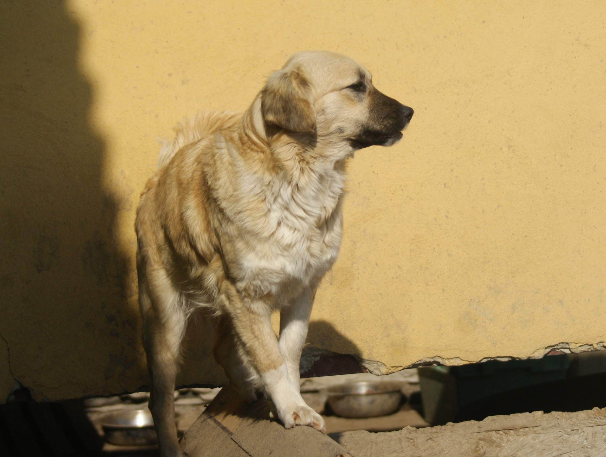 Lara Casa lui Patrocle 4