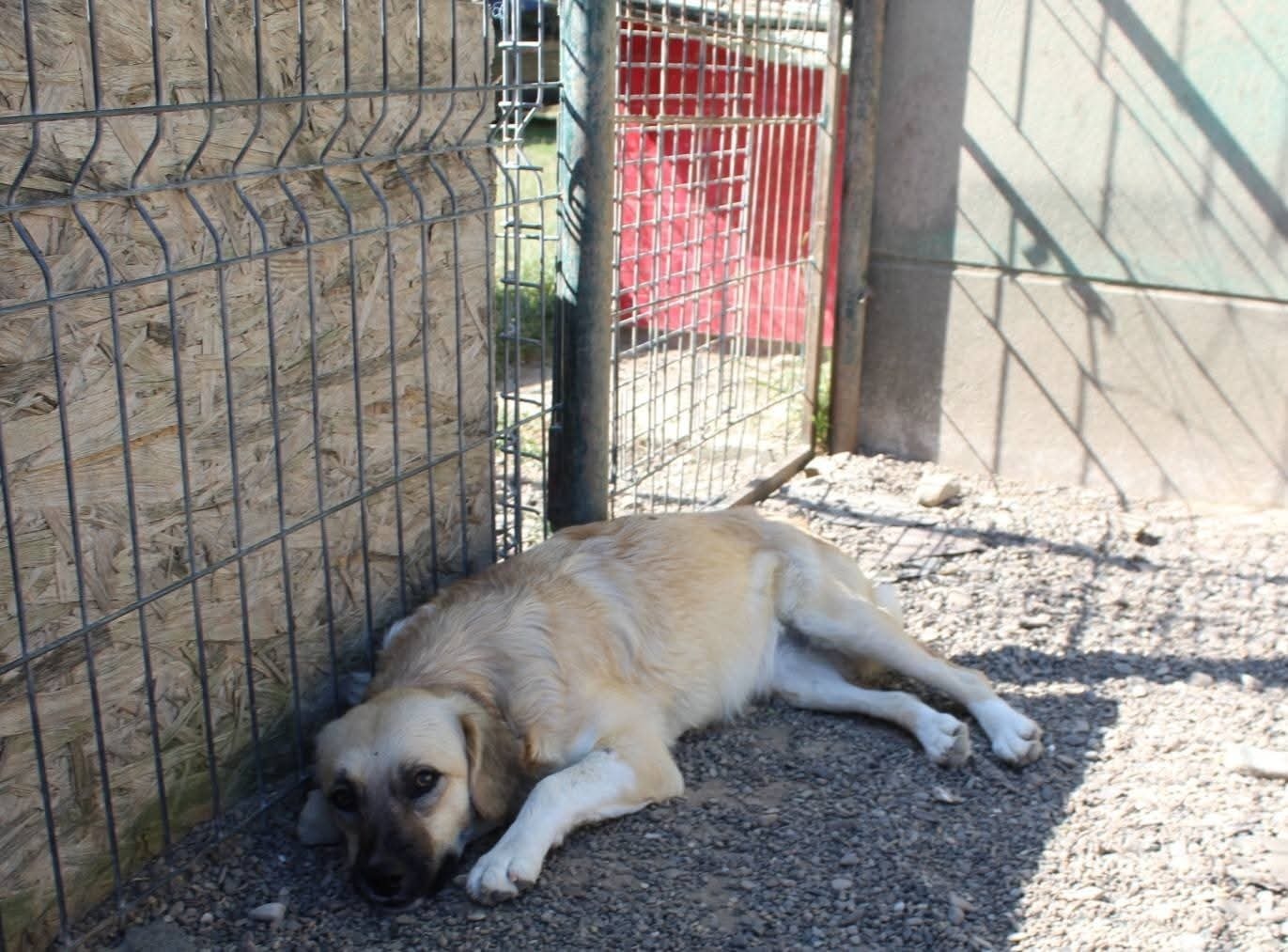 Lara Casa lui Patrocle 6