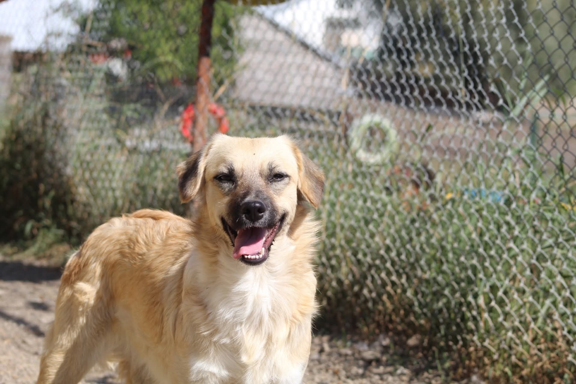 Lara Casa lui Patrocle 7