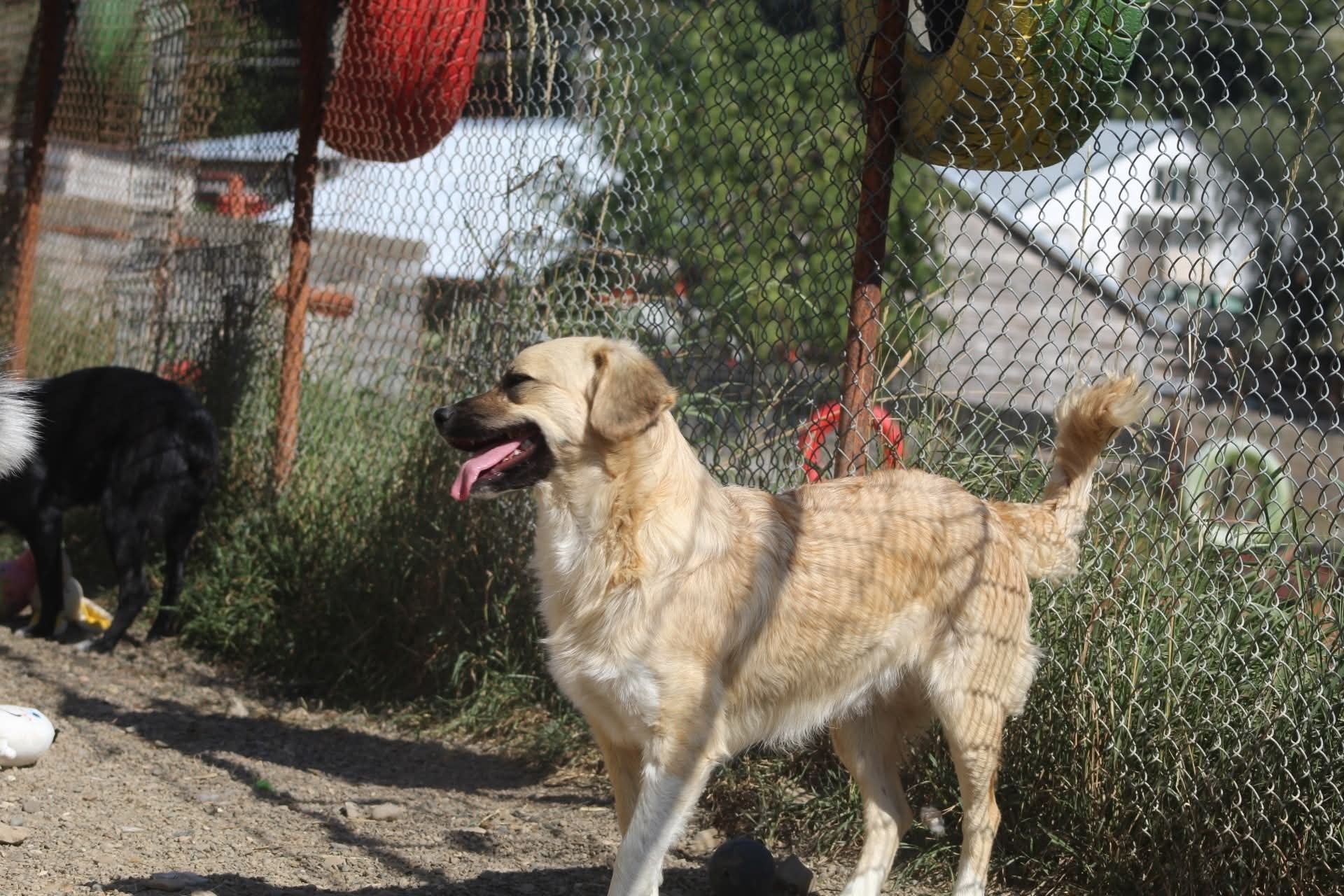 Lara Casa lui Patrocle 8