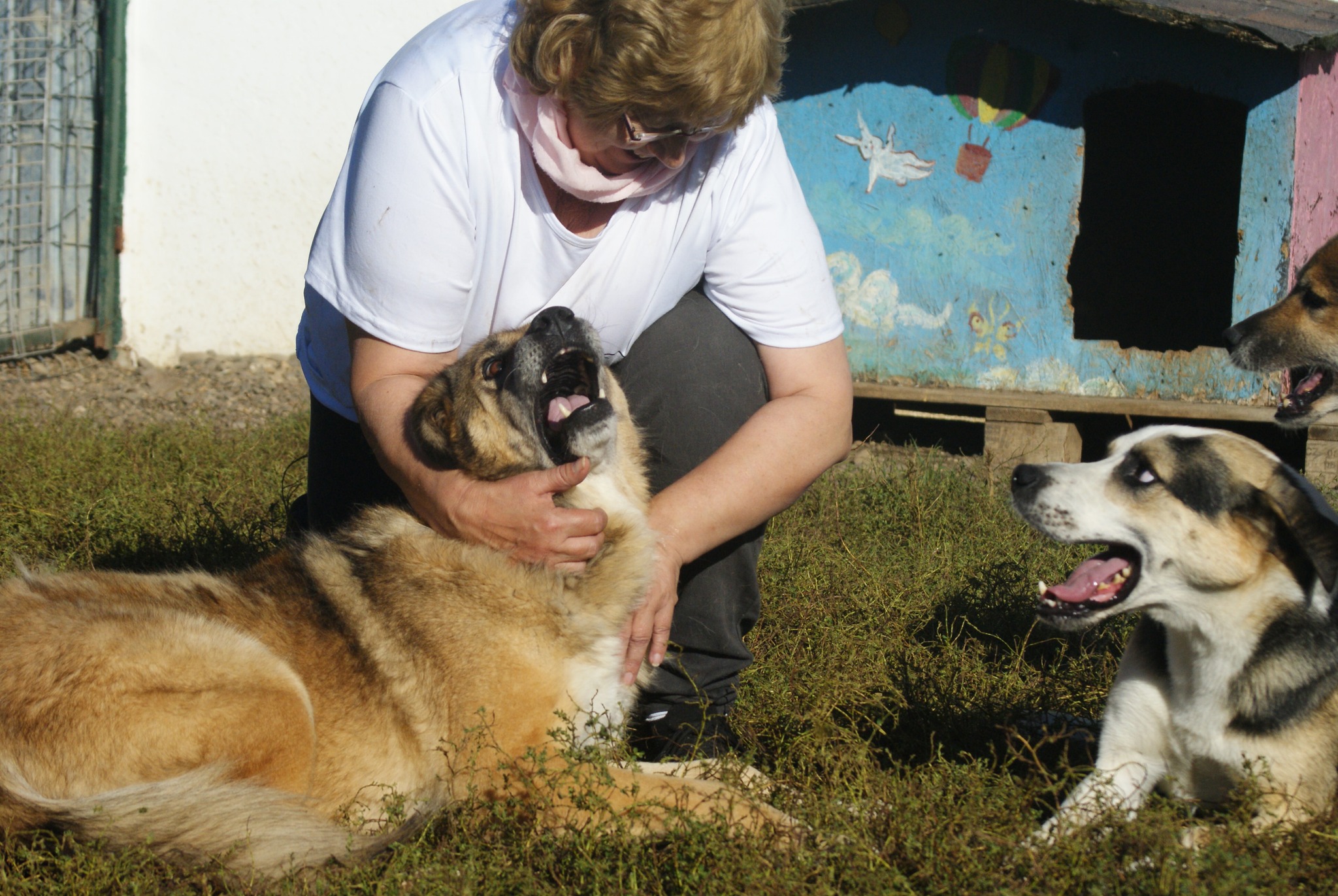 Leylani Casa lui Patrocle 6