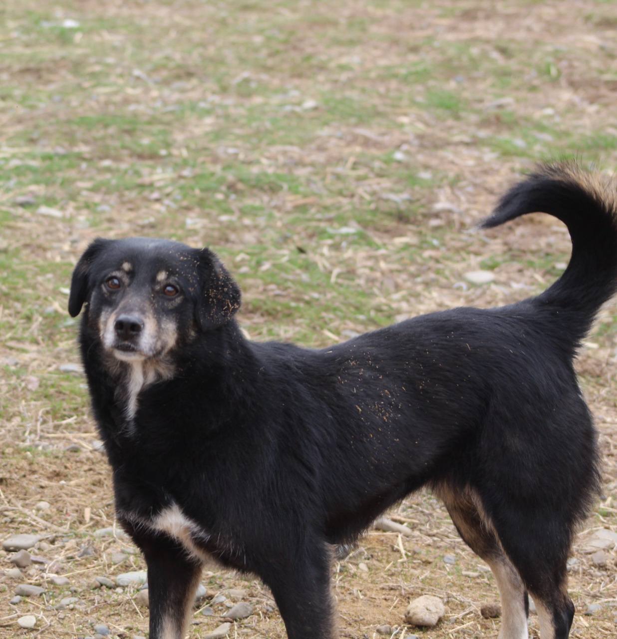 Lilya Casa lui Patrocle 3