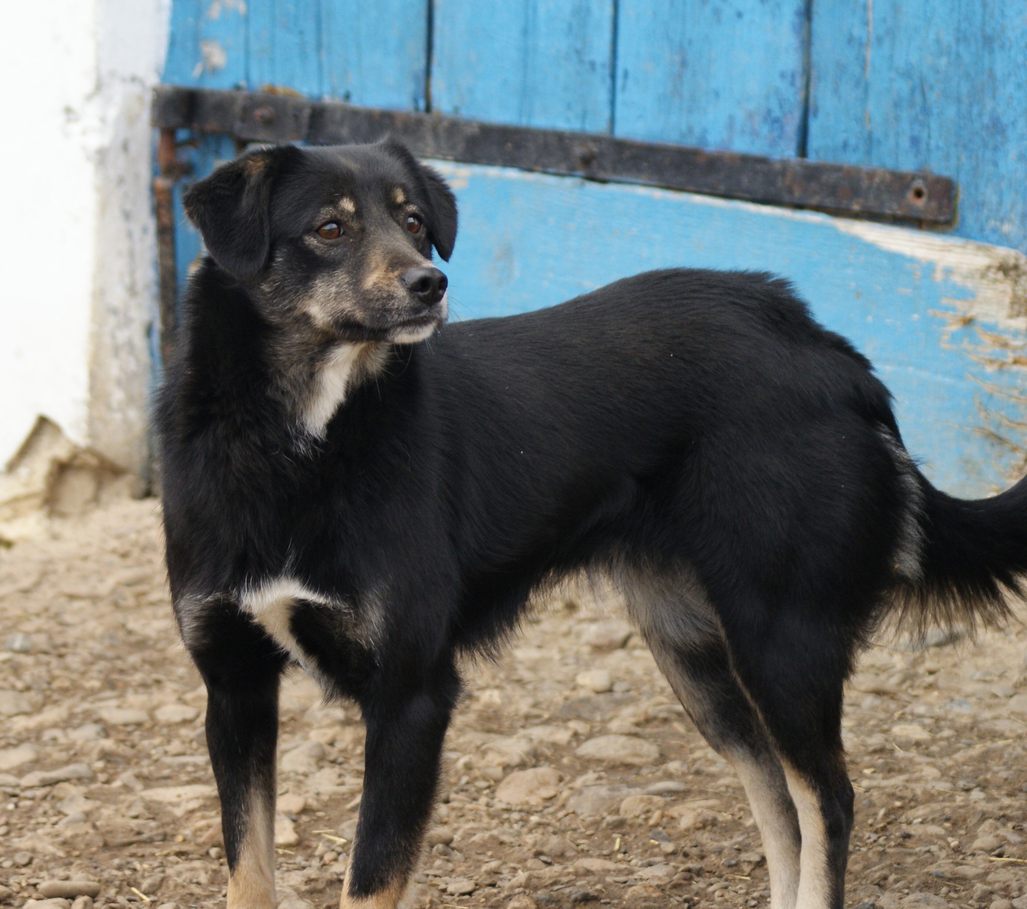 Lilya Casa lui Patrocle 6