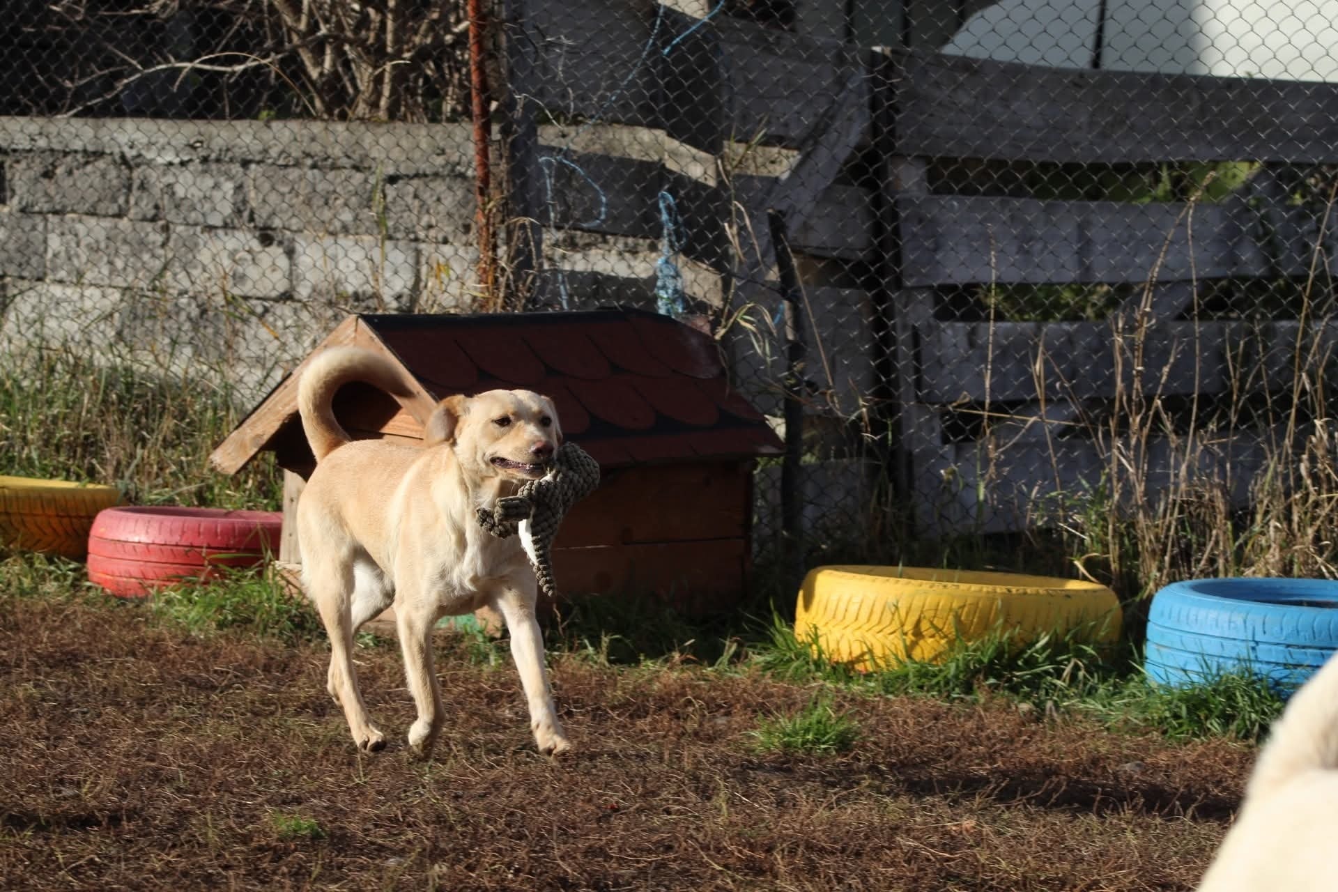 Lisa Casa lui Patrocle 3