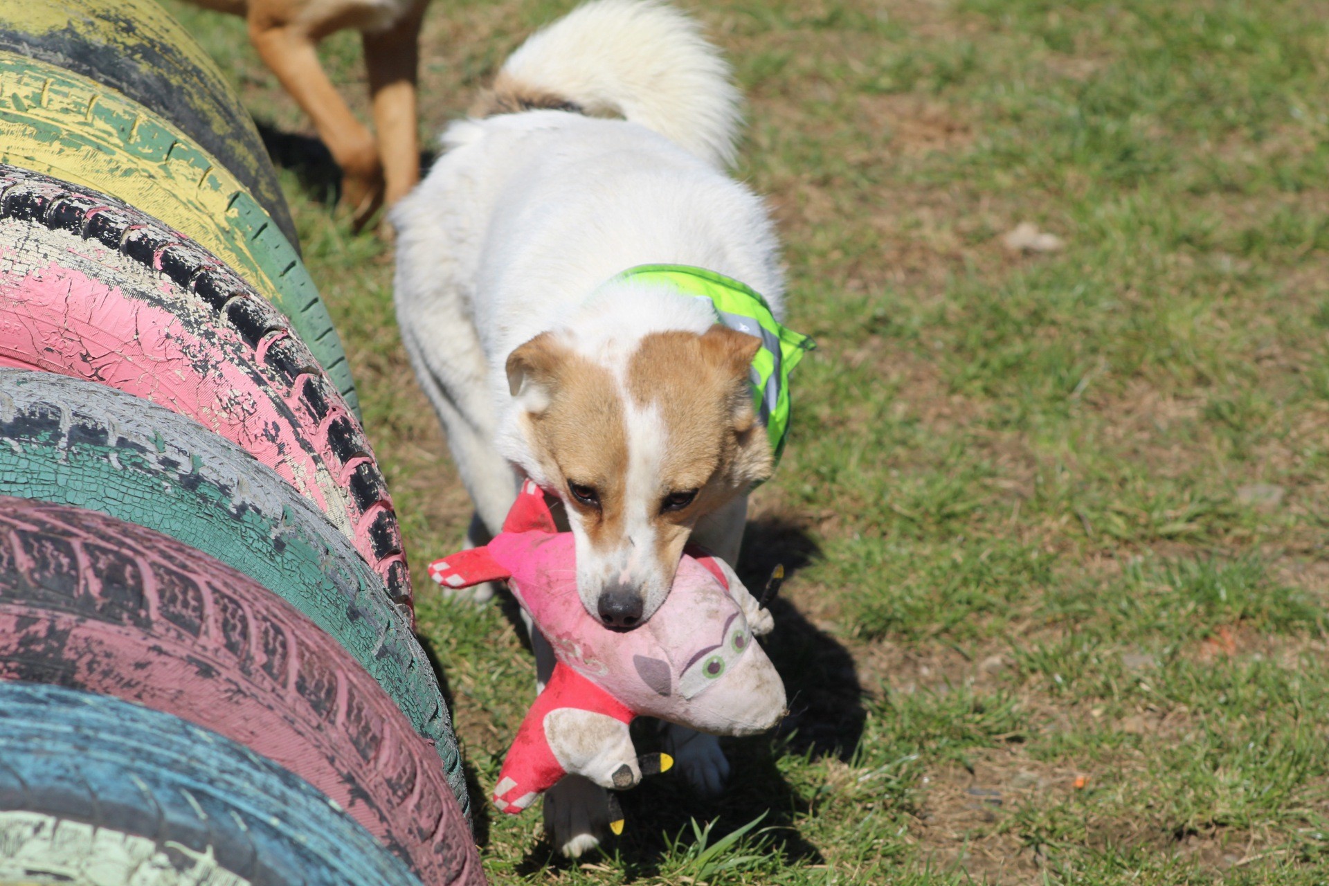 Lola Casa lui Patrocle 2