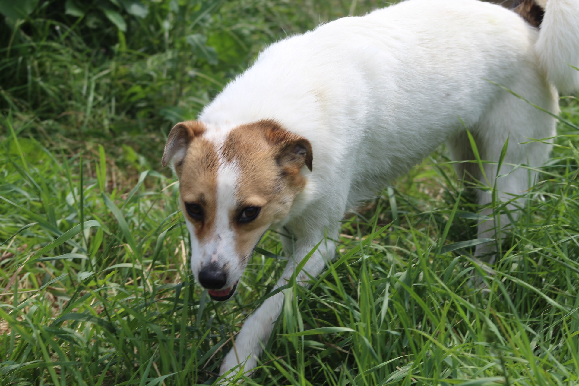 Lola Casa lui Patrocle 4