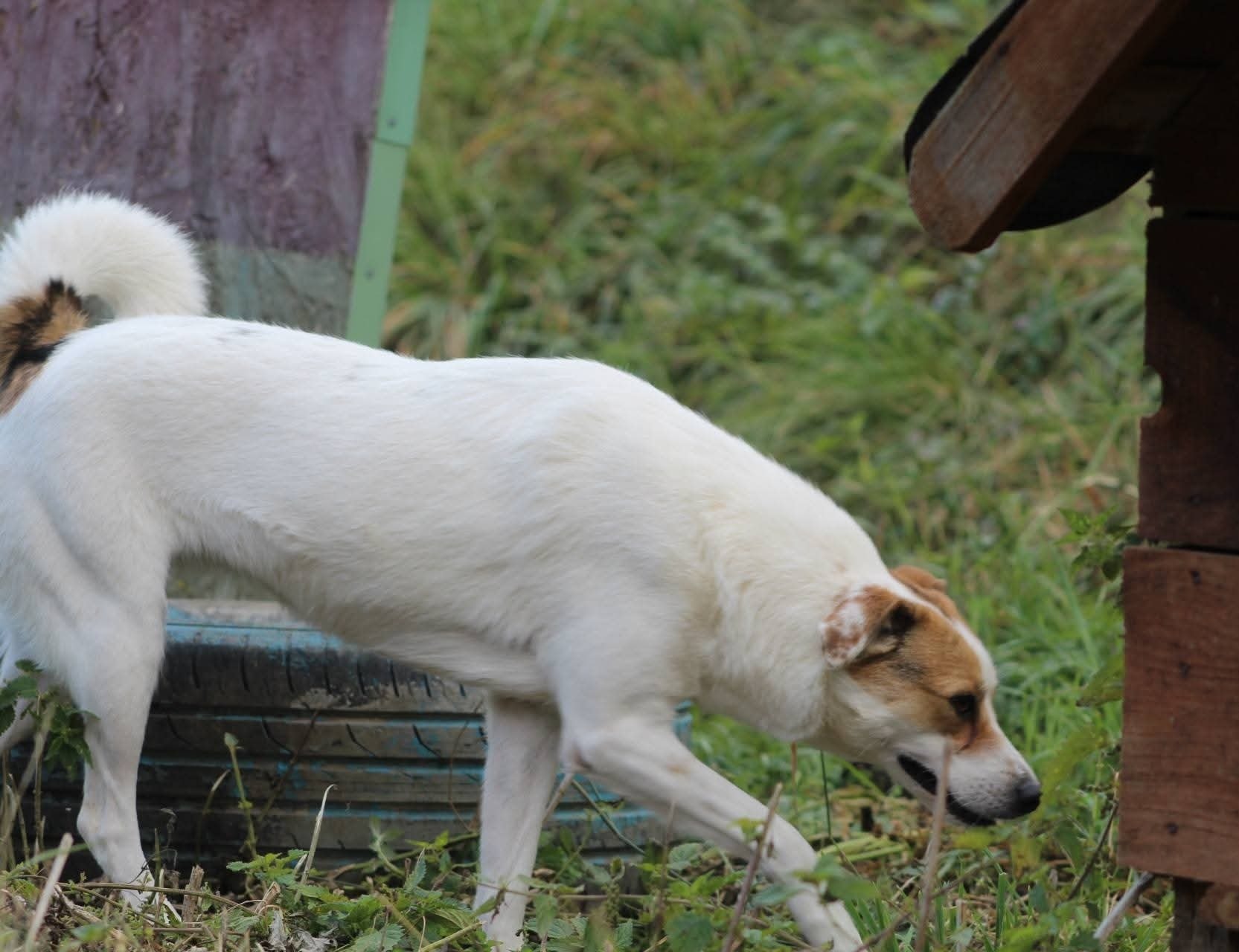 Lola Casa lui Patrocle 5