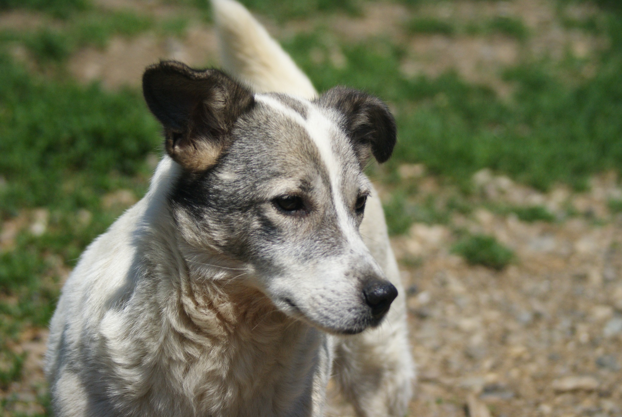 Lotte Casa lui Patrocle 6