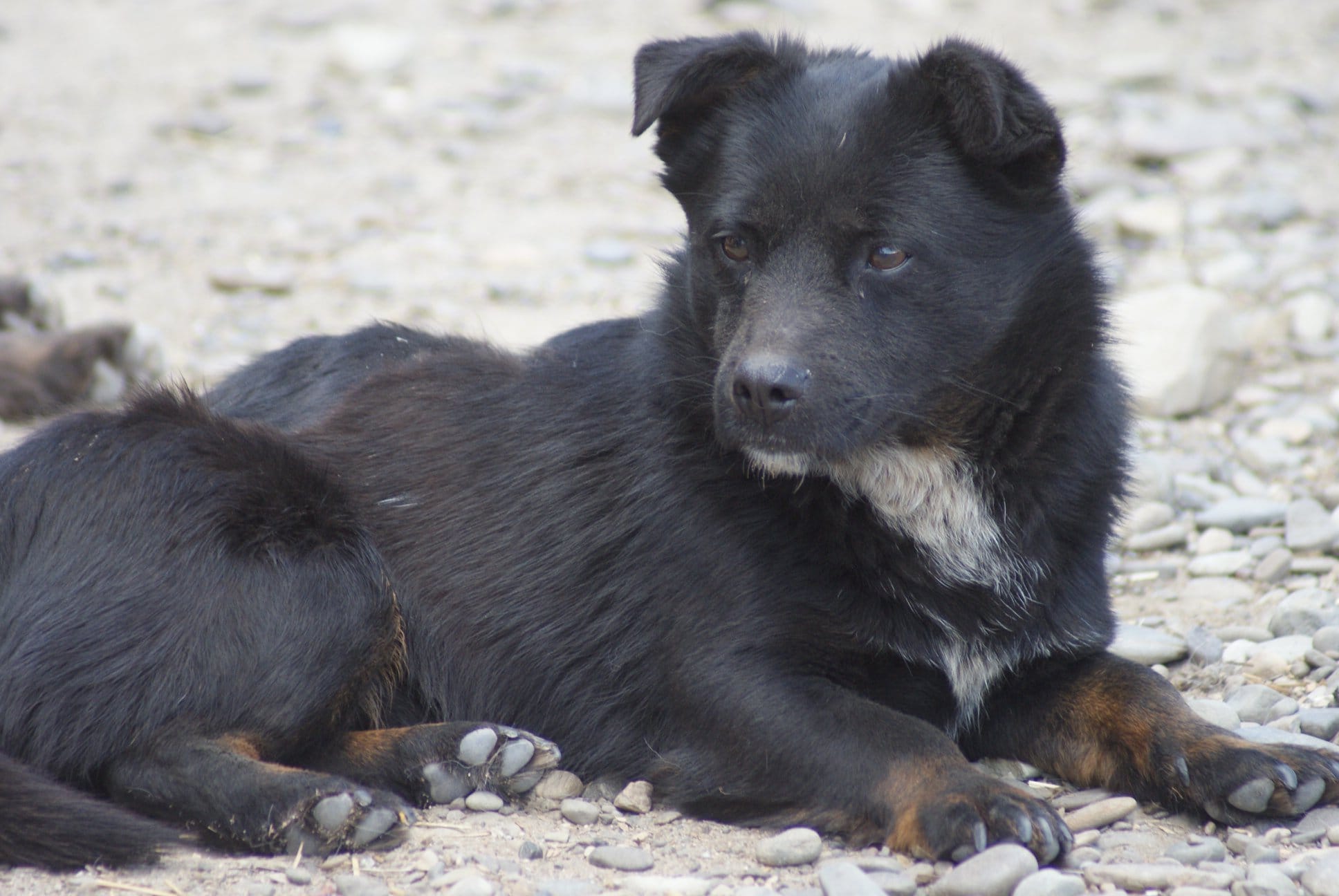 Lucien Casa lui Patrocle 2