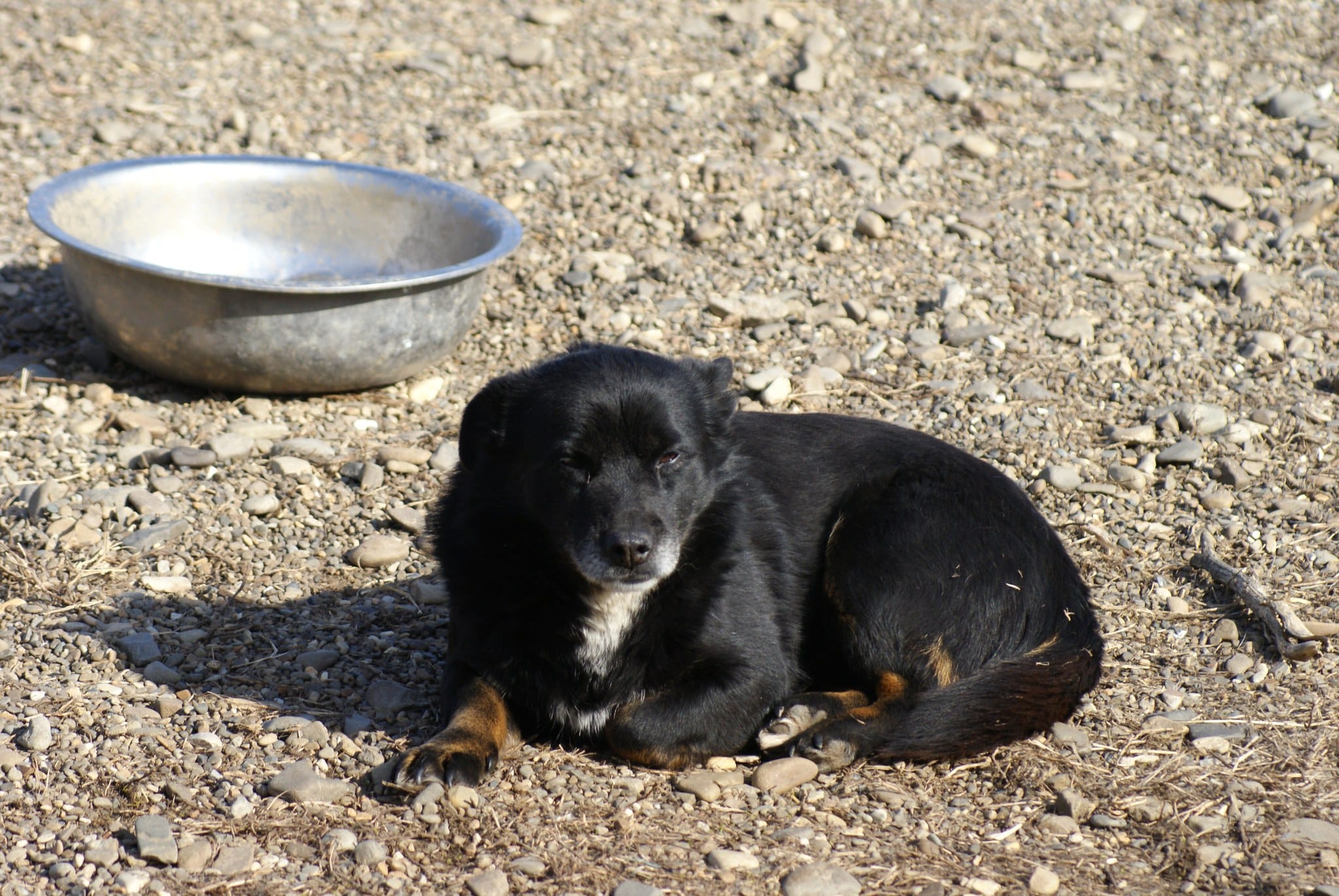 Lucien Casa lui Patrocle 3