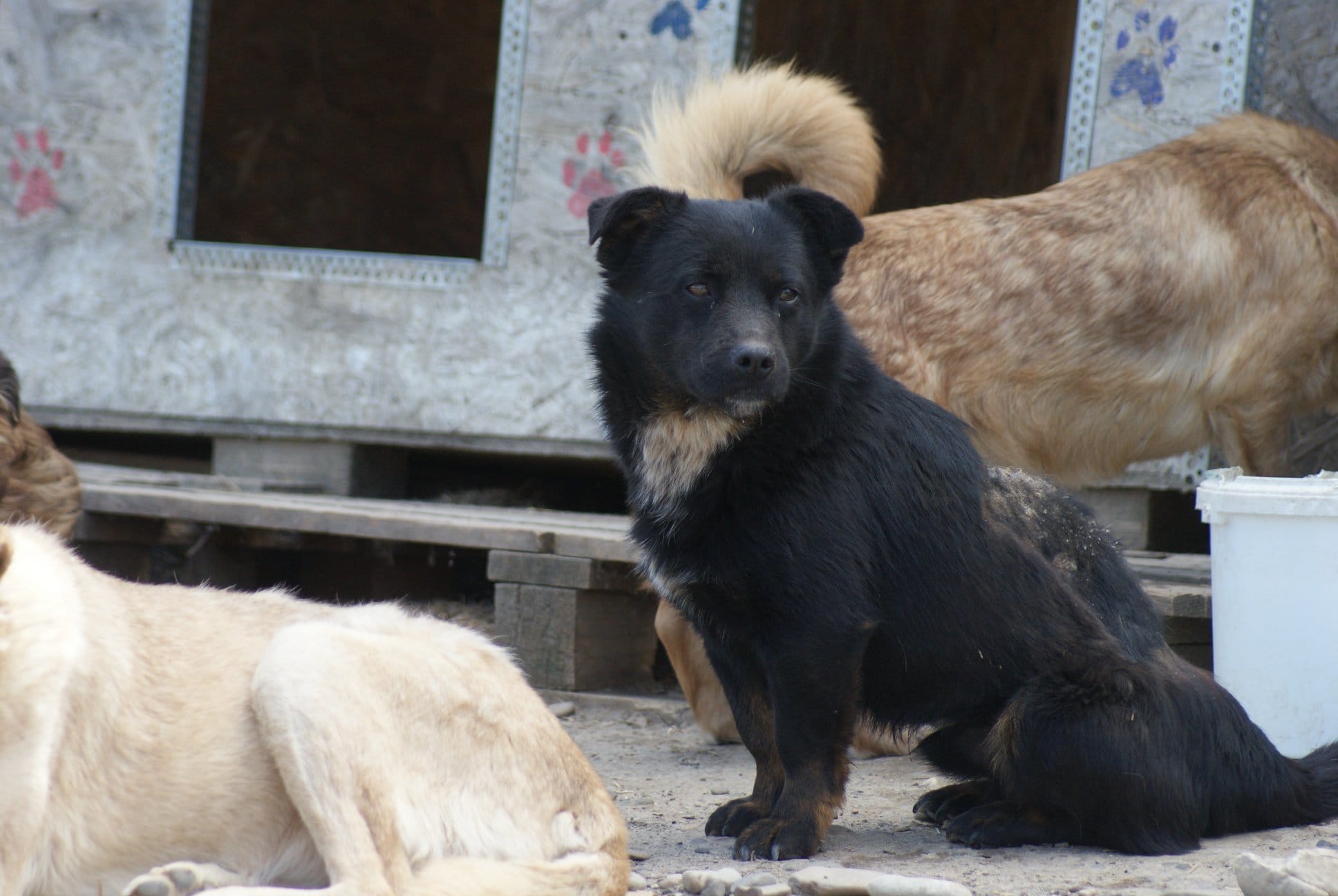 Lucien Casa lui Patrocle 5