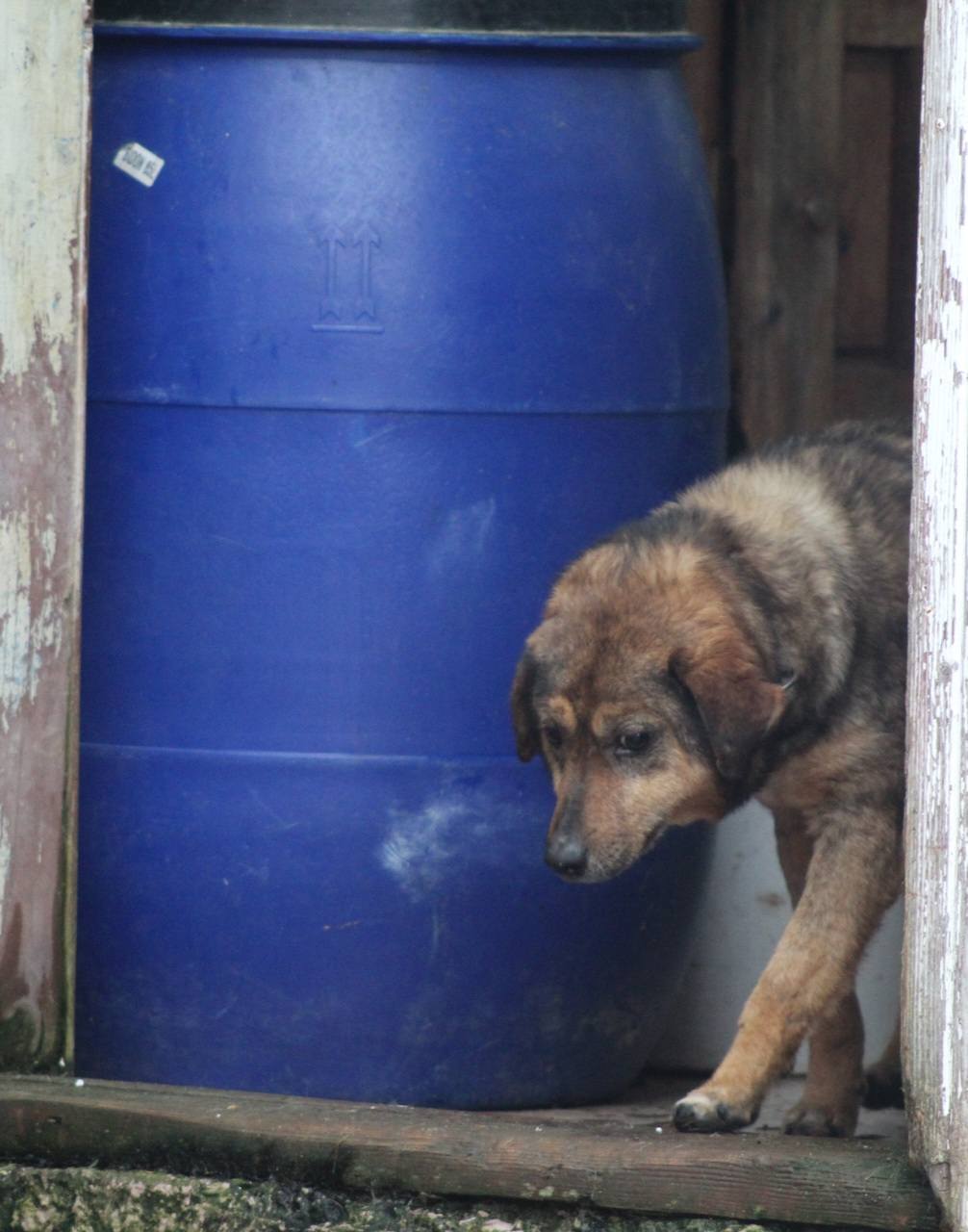 Lucky Casa lui Patrocle 5