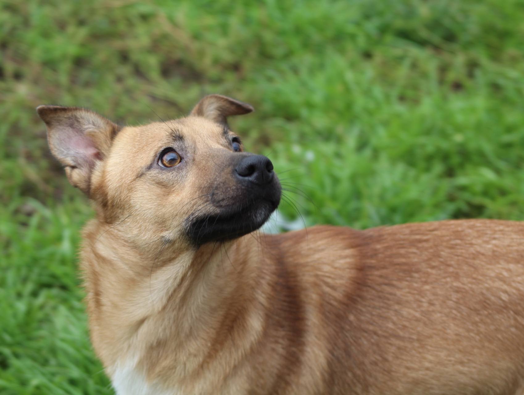 Lupin Casa lui Patrocle 3