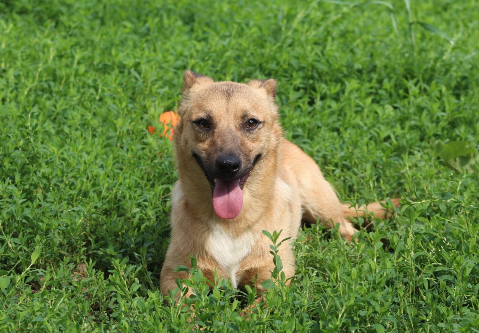 Lupin Casa lui Patrocle 5