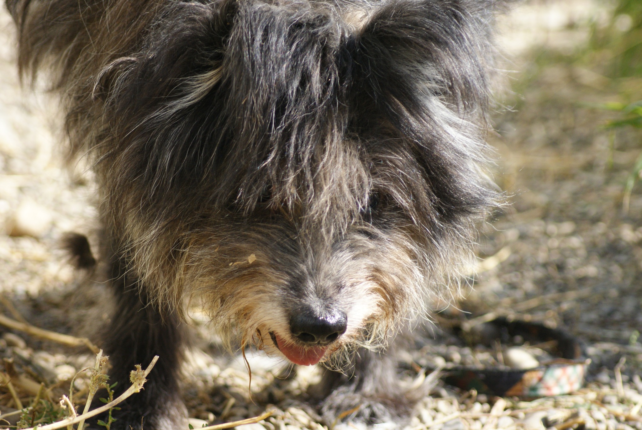 Marcel Casa lui Patrocle 2