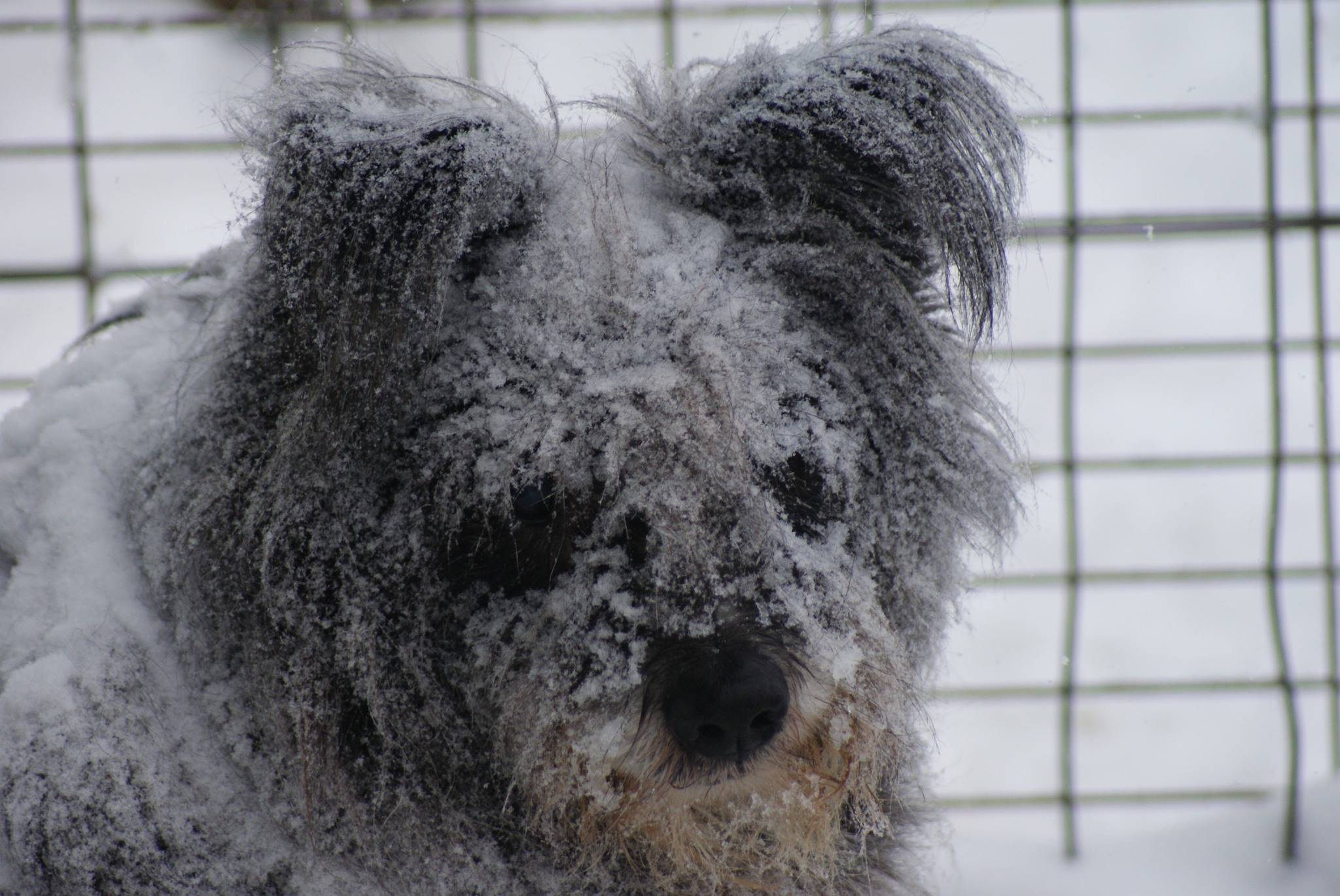 Marcel Casa lui Patrocle 4