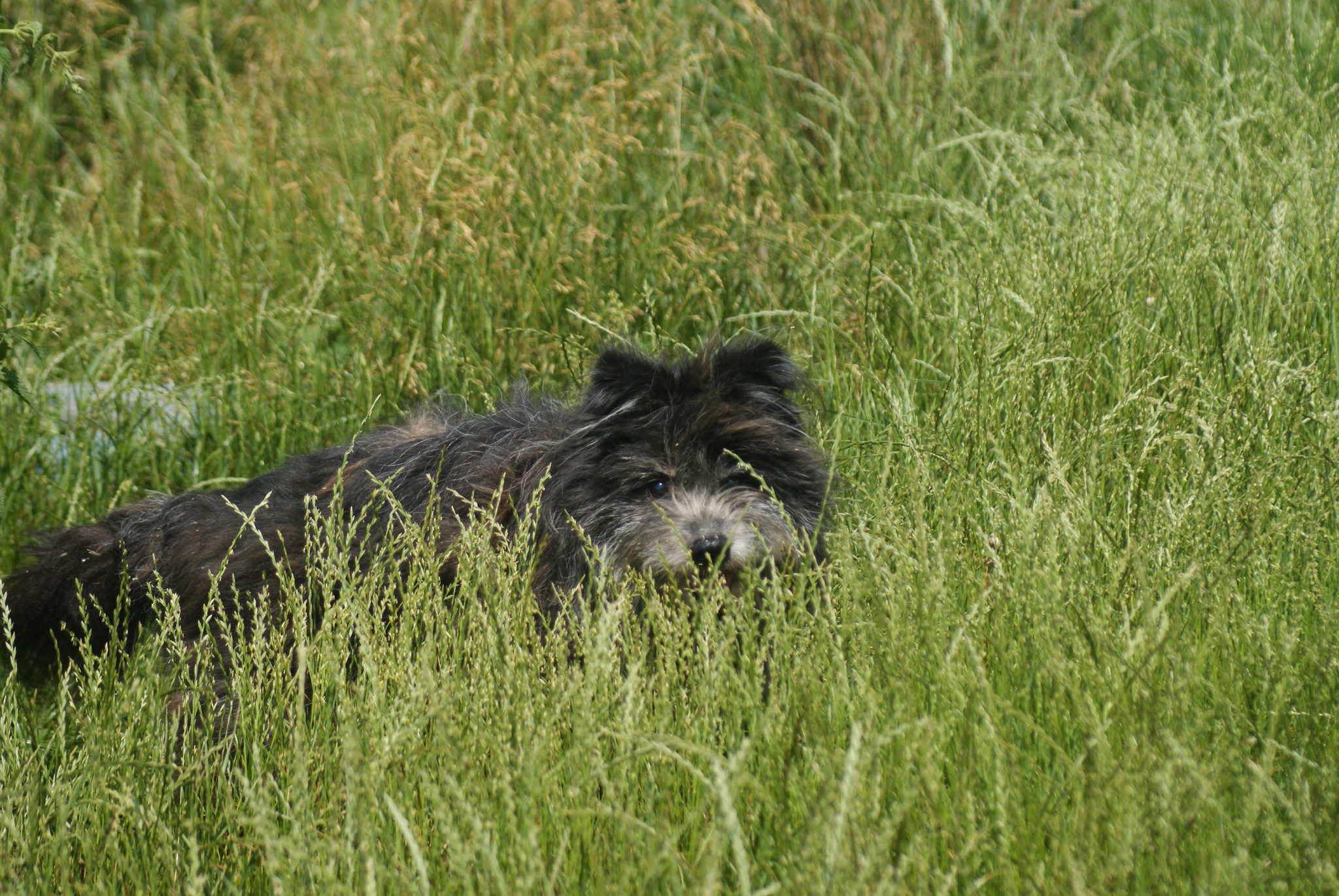 Marcel Casa lui Patrocle 5