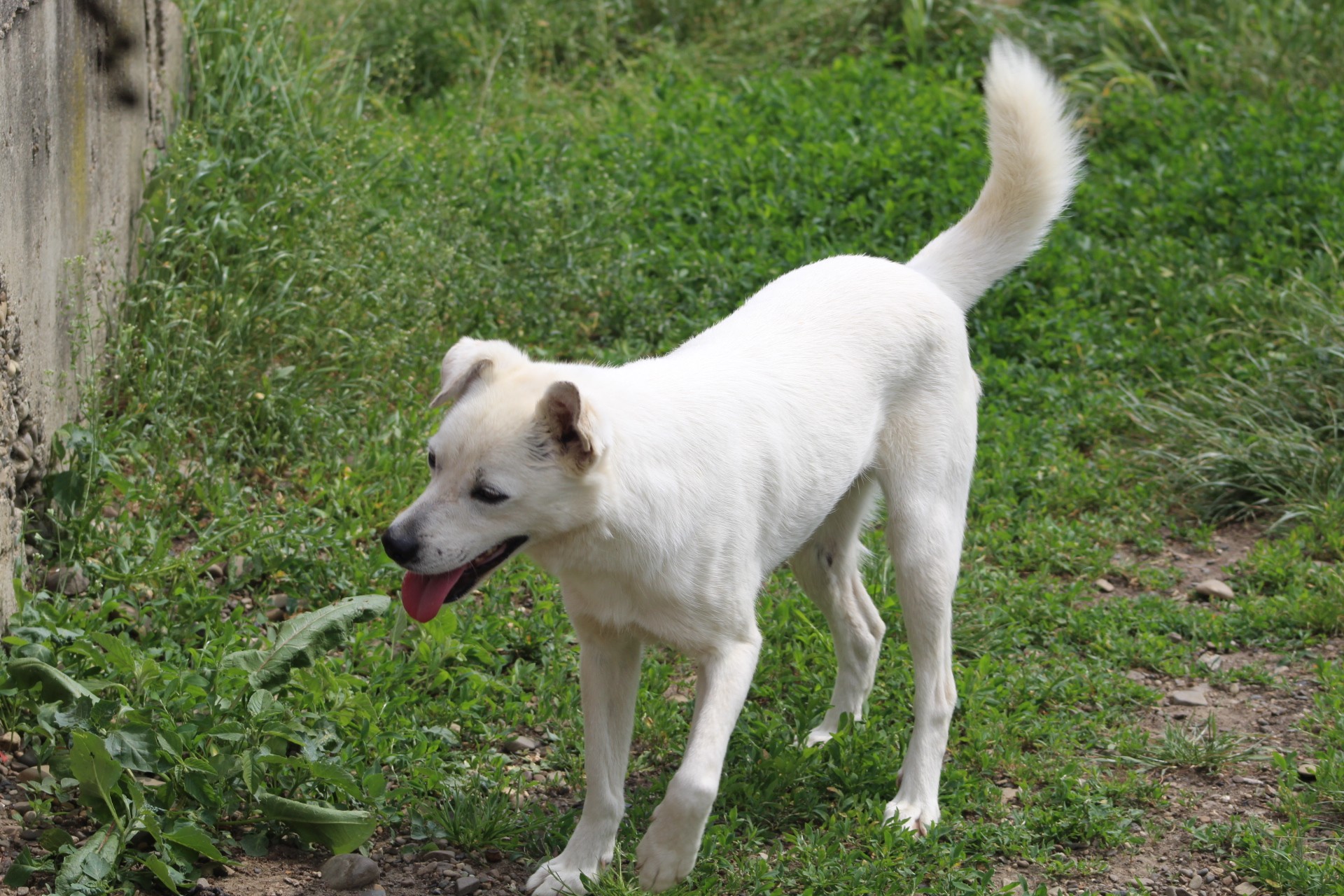 Marty Casa lui Patrocle 2