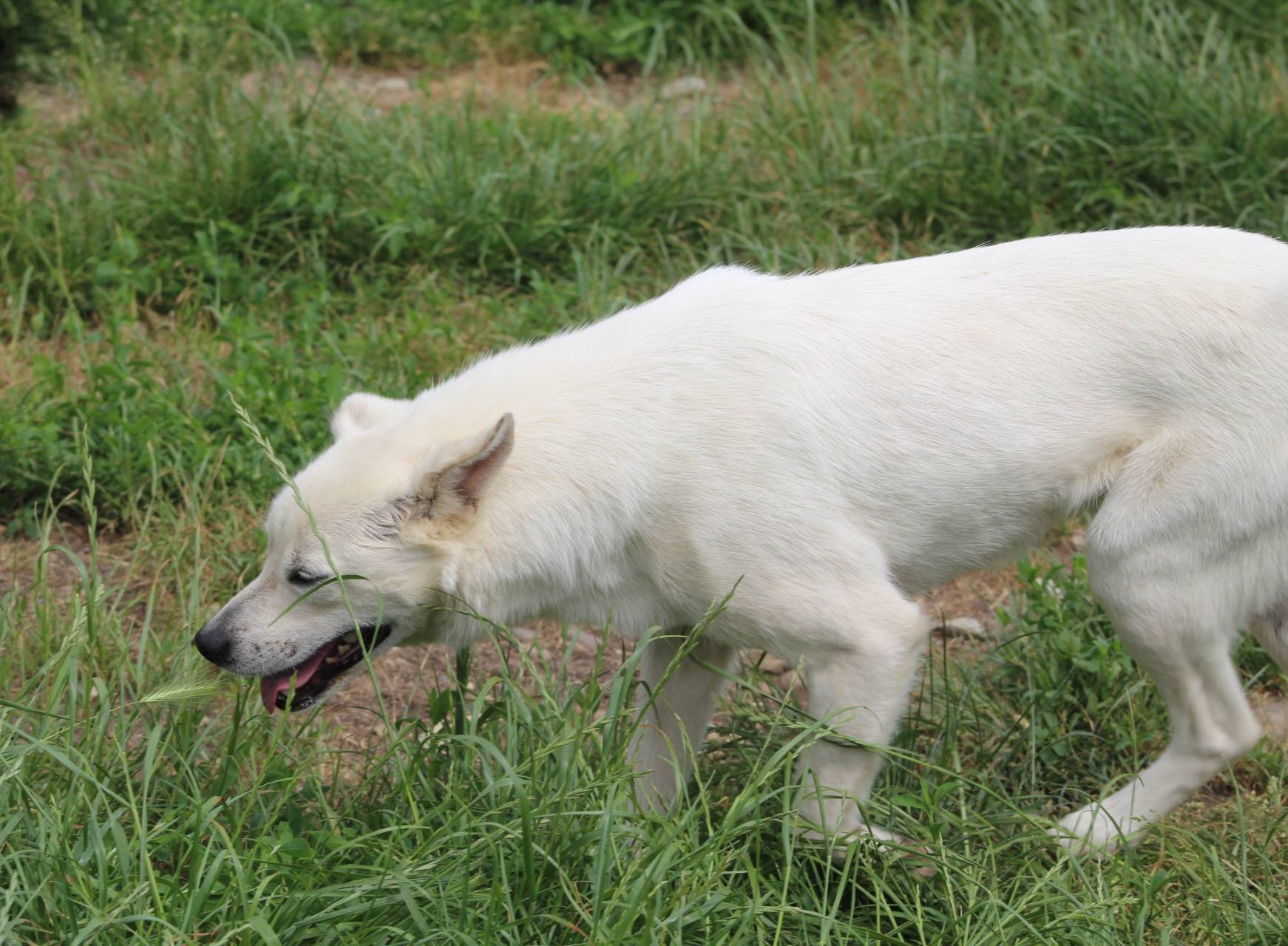 Marty Casa lui Patrocle 3