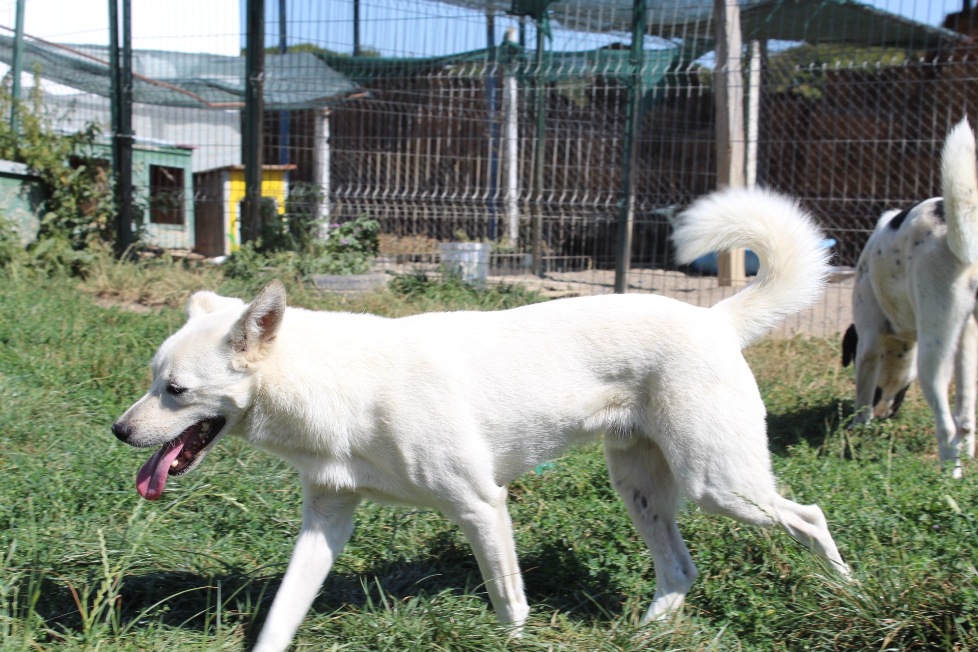 Marty Casa lui Patrocle 5