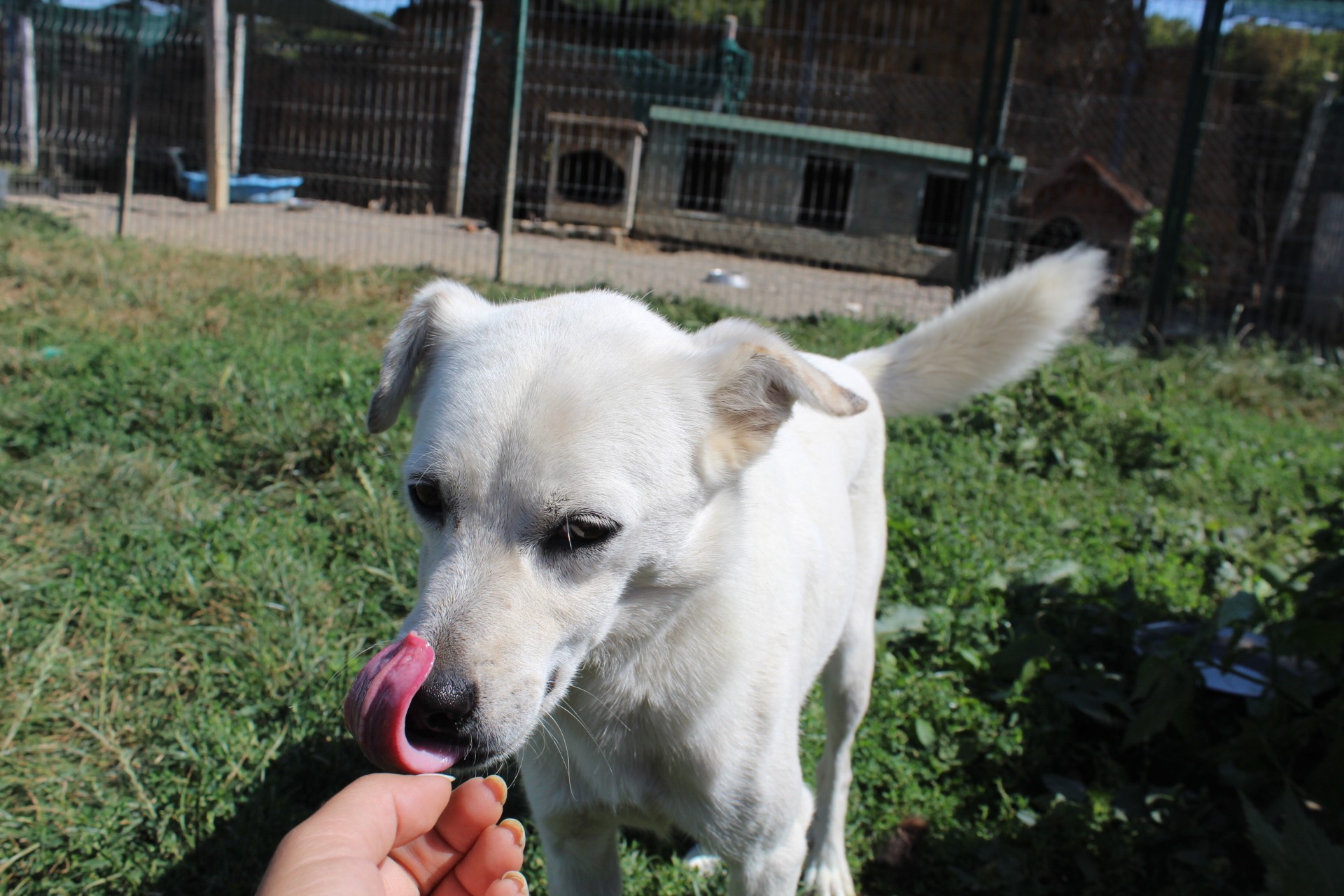 Marty Casa lui Patrocle 6