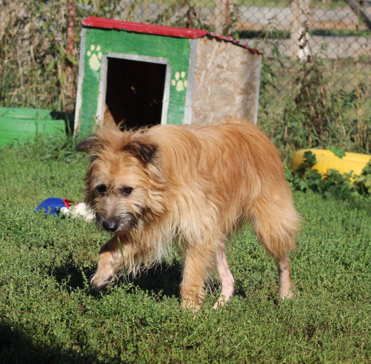 Mavi Casa lui Patrocle 4