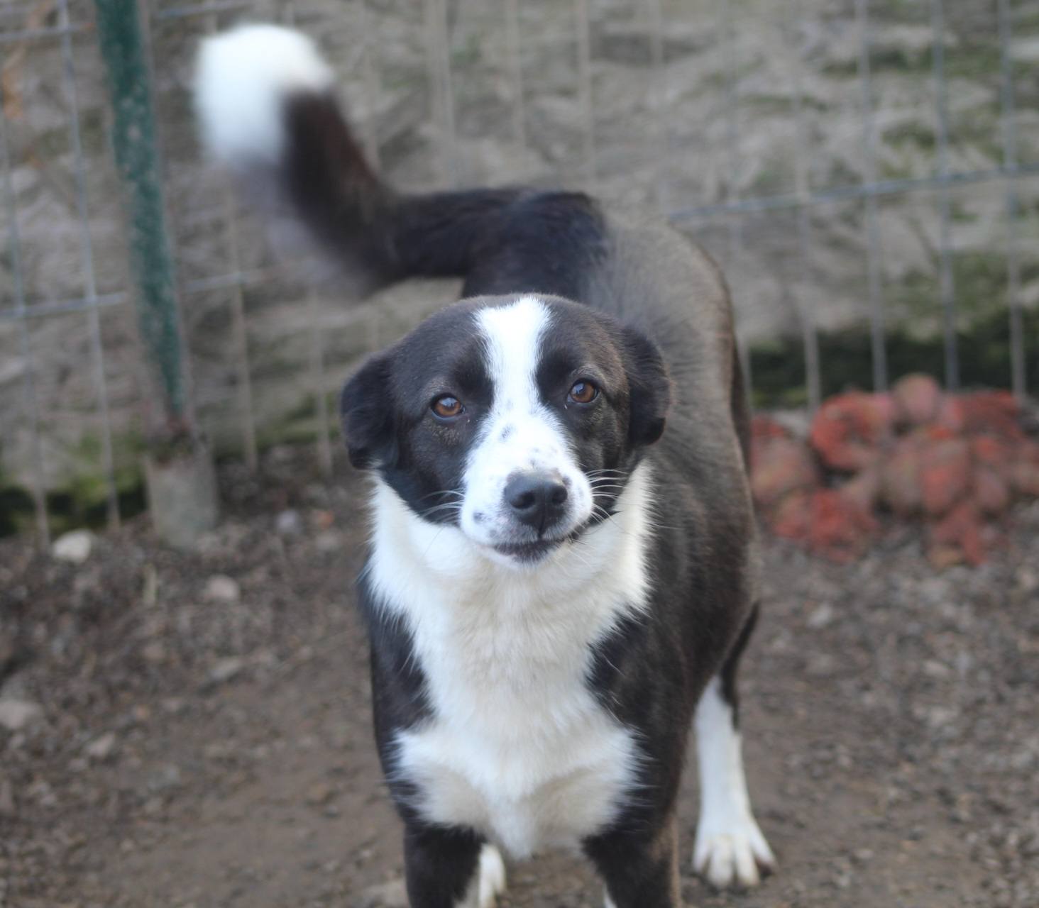 Medina Casa lui Patrocle 2