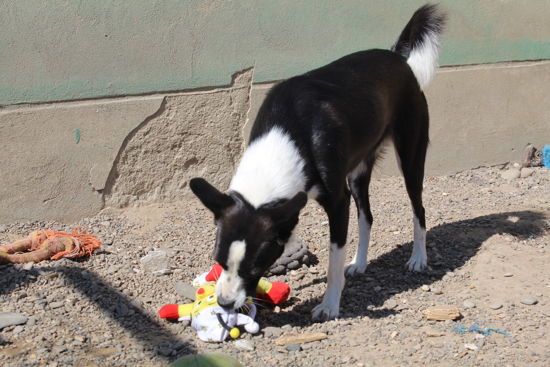 Medina Casa lui Patrocle 6