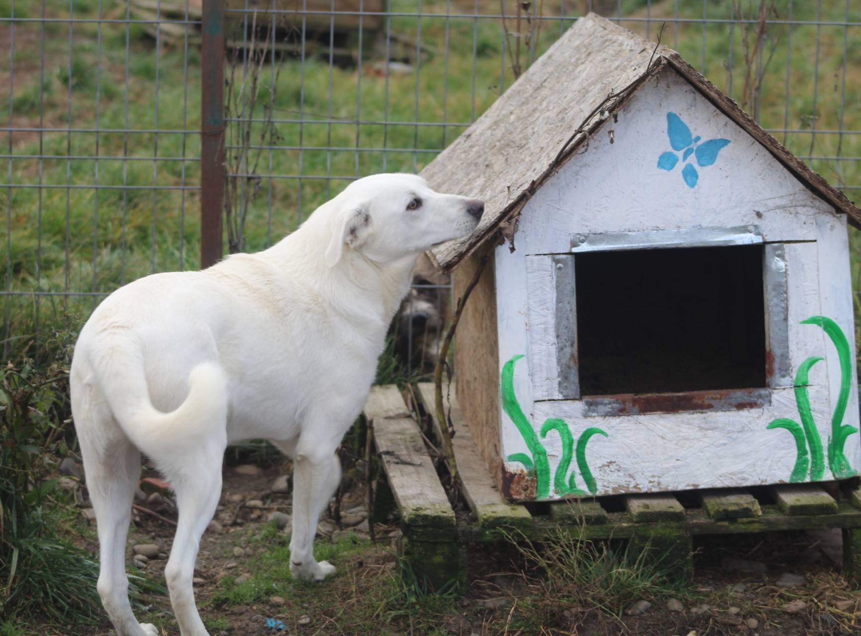 Mia Casa lui Patrocle 4