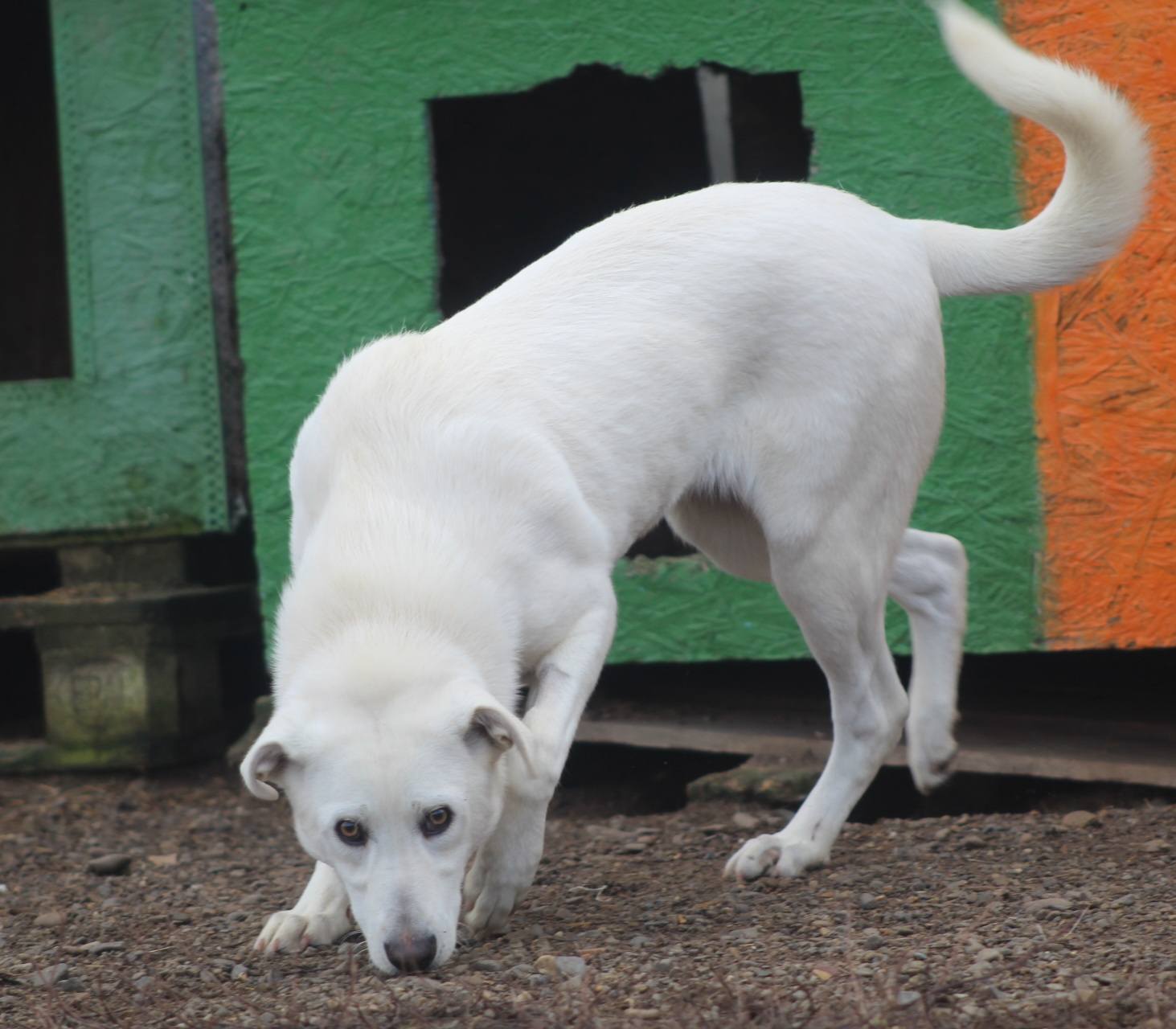 Mia Casa lui Patrocle 5