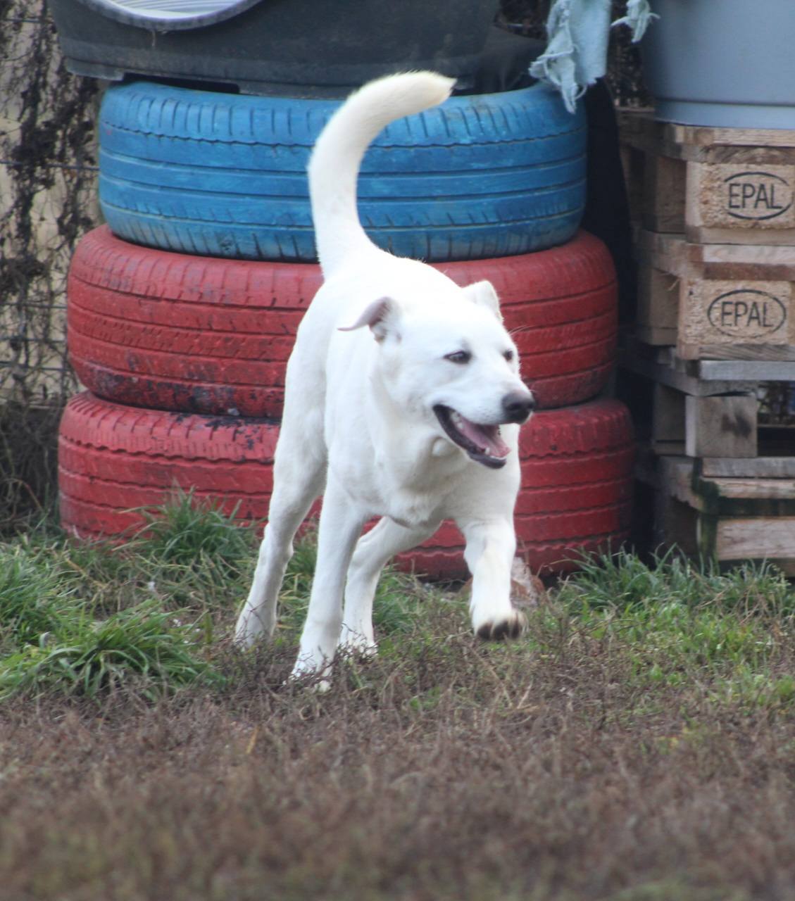 Mia Casa lui Patrocle 6