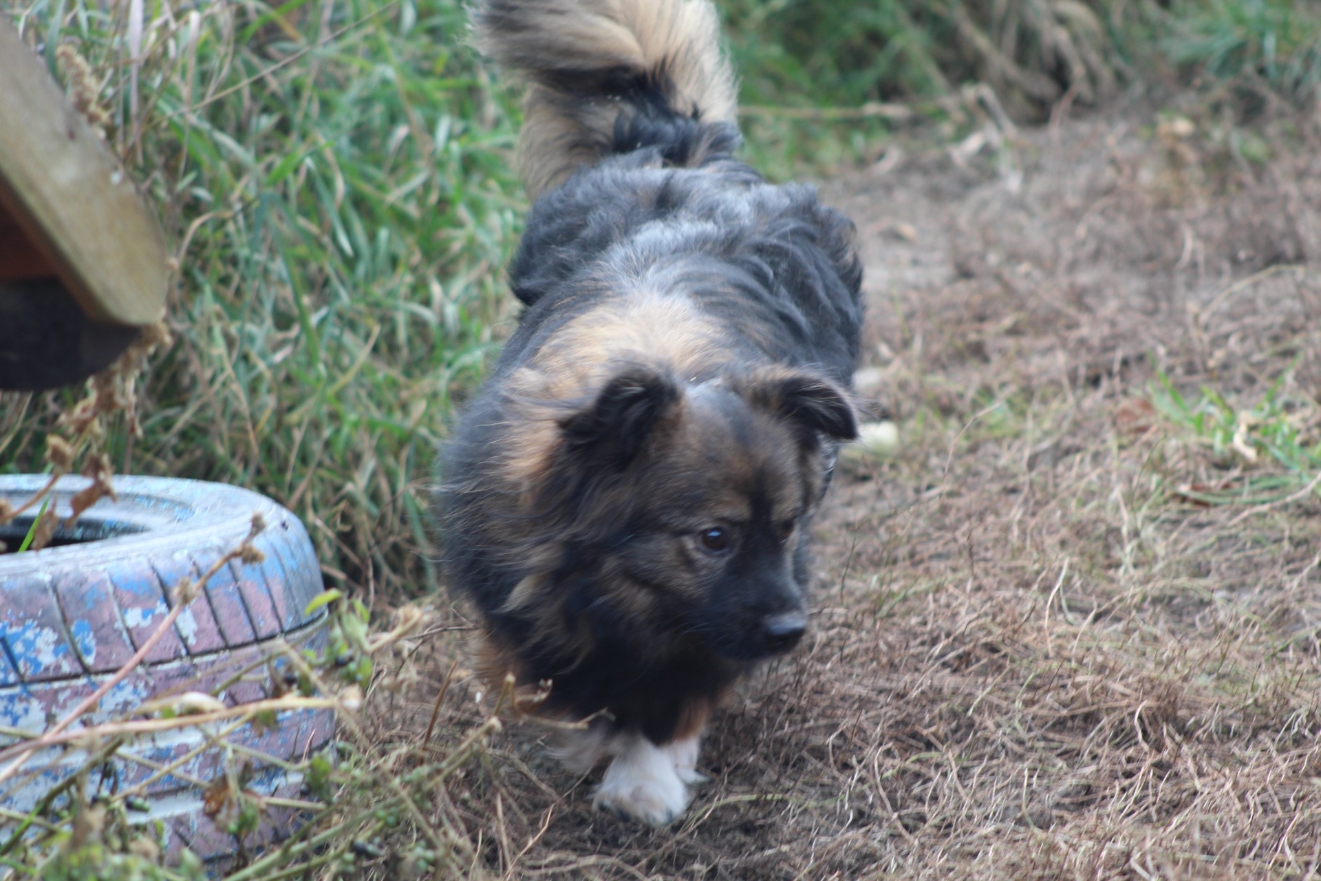 Mihaita Casa lui Patrocle 3