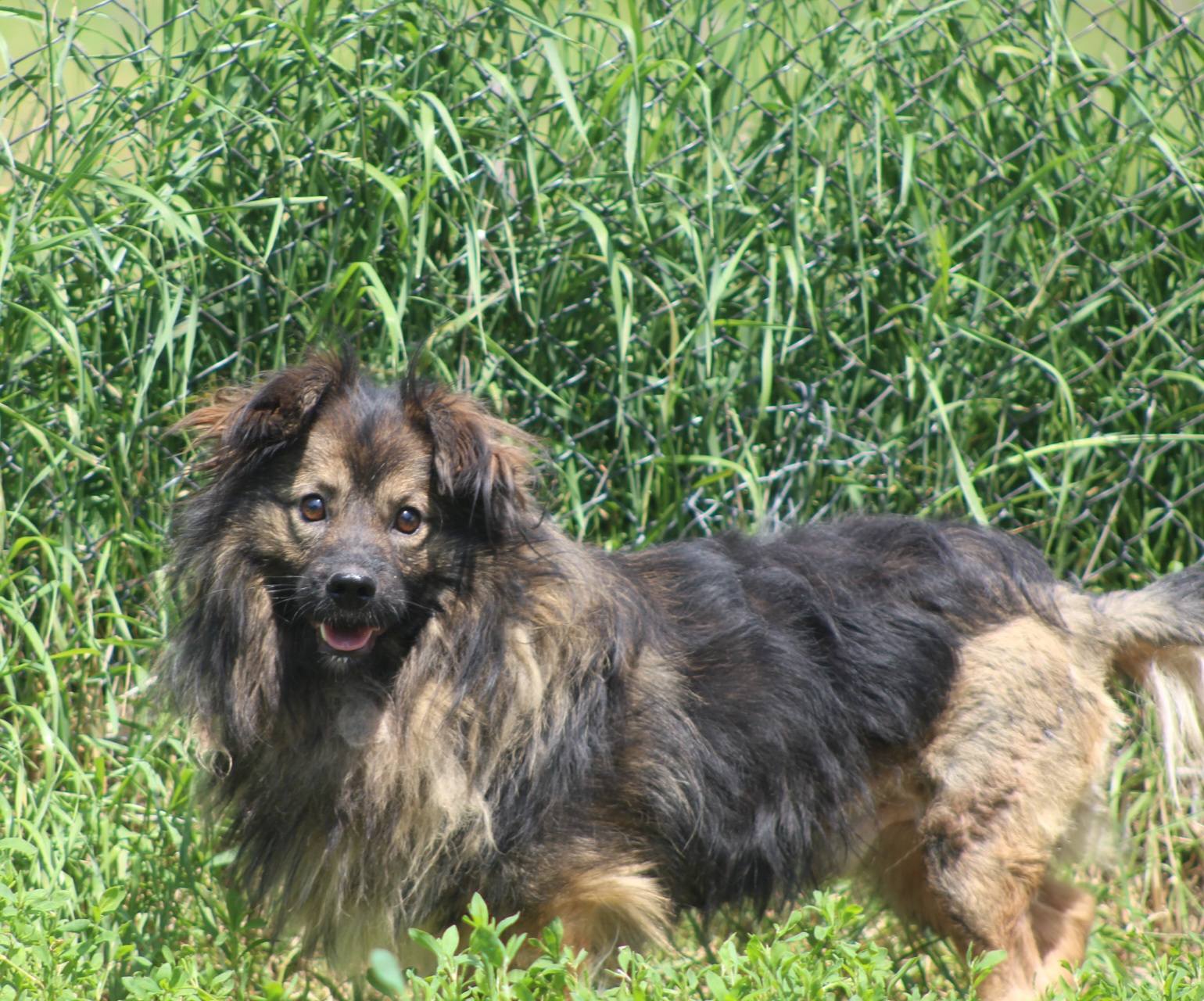 Mihaita Casa lui Patrocle 4