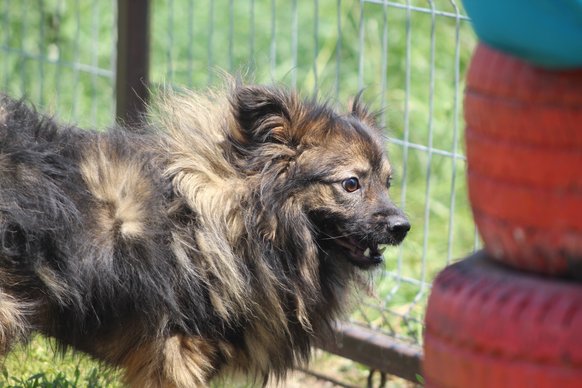 Mihaita Casa lui Patrocle 5