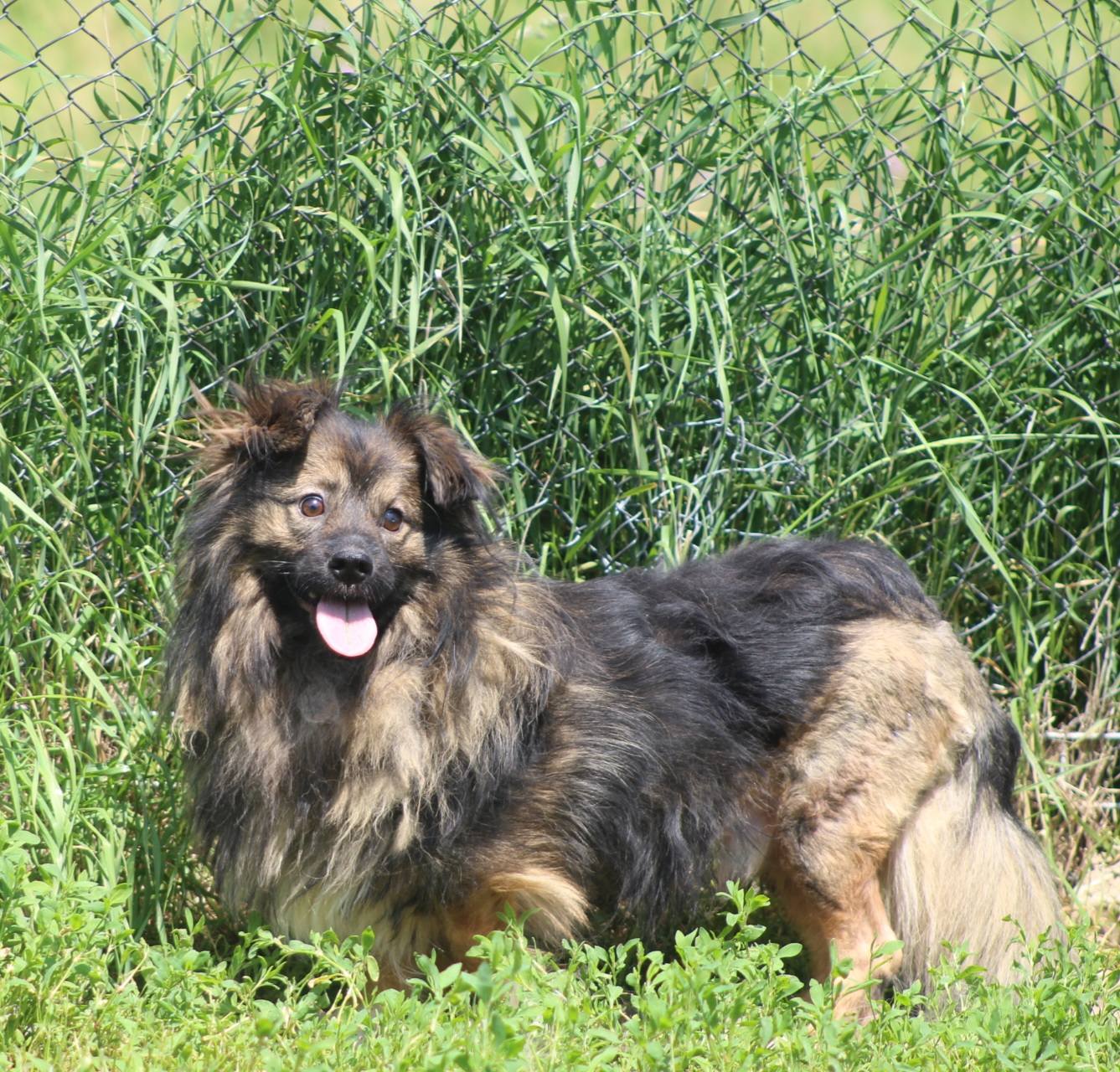 Mihaita Casa lui Patrocle 6