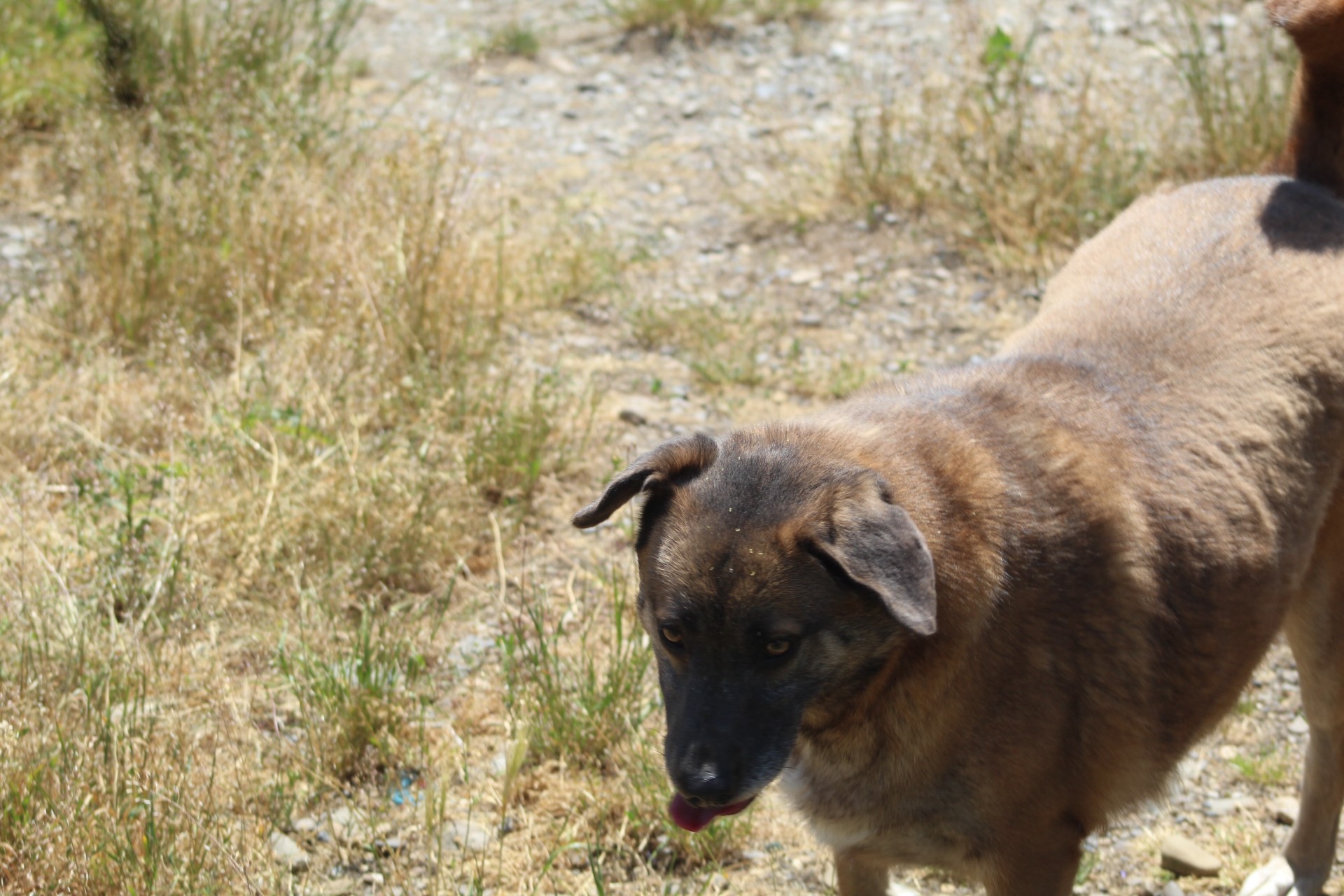 Miranda Casa lui Patrocle 2