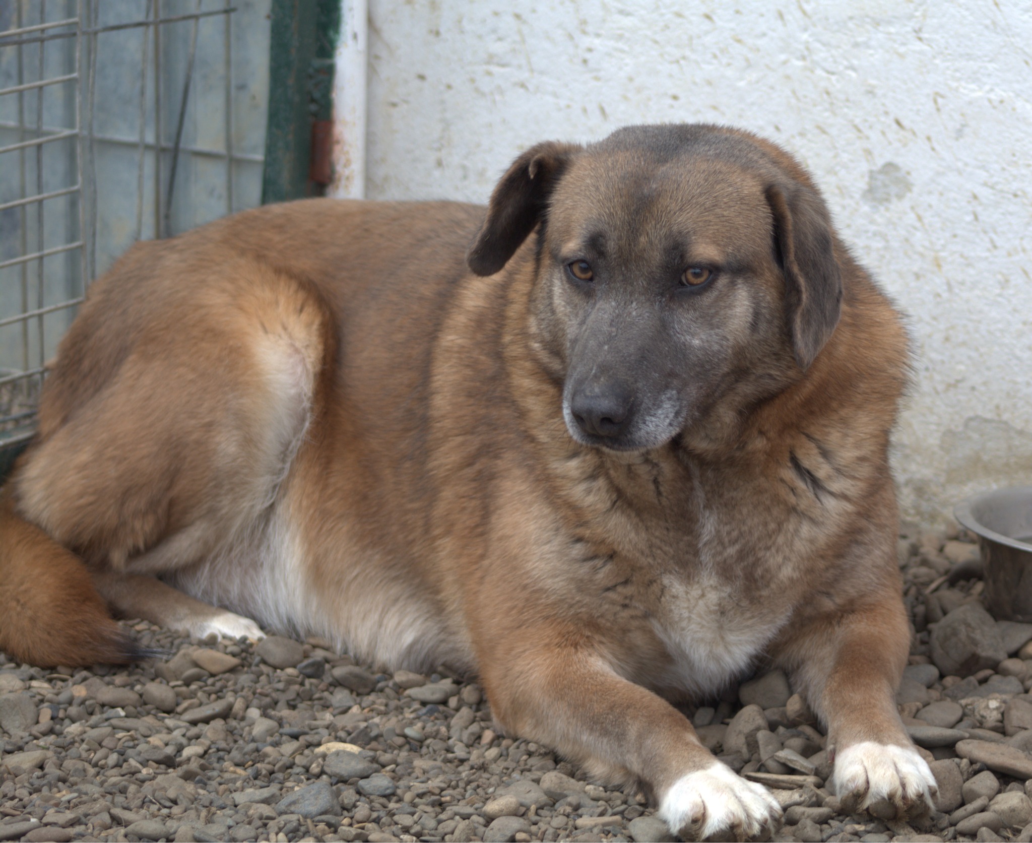 Miranda Casa lui Patrocle 3