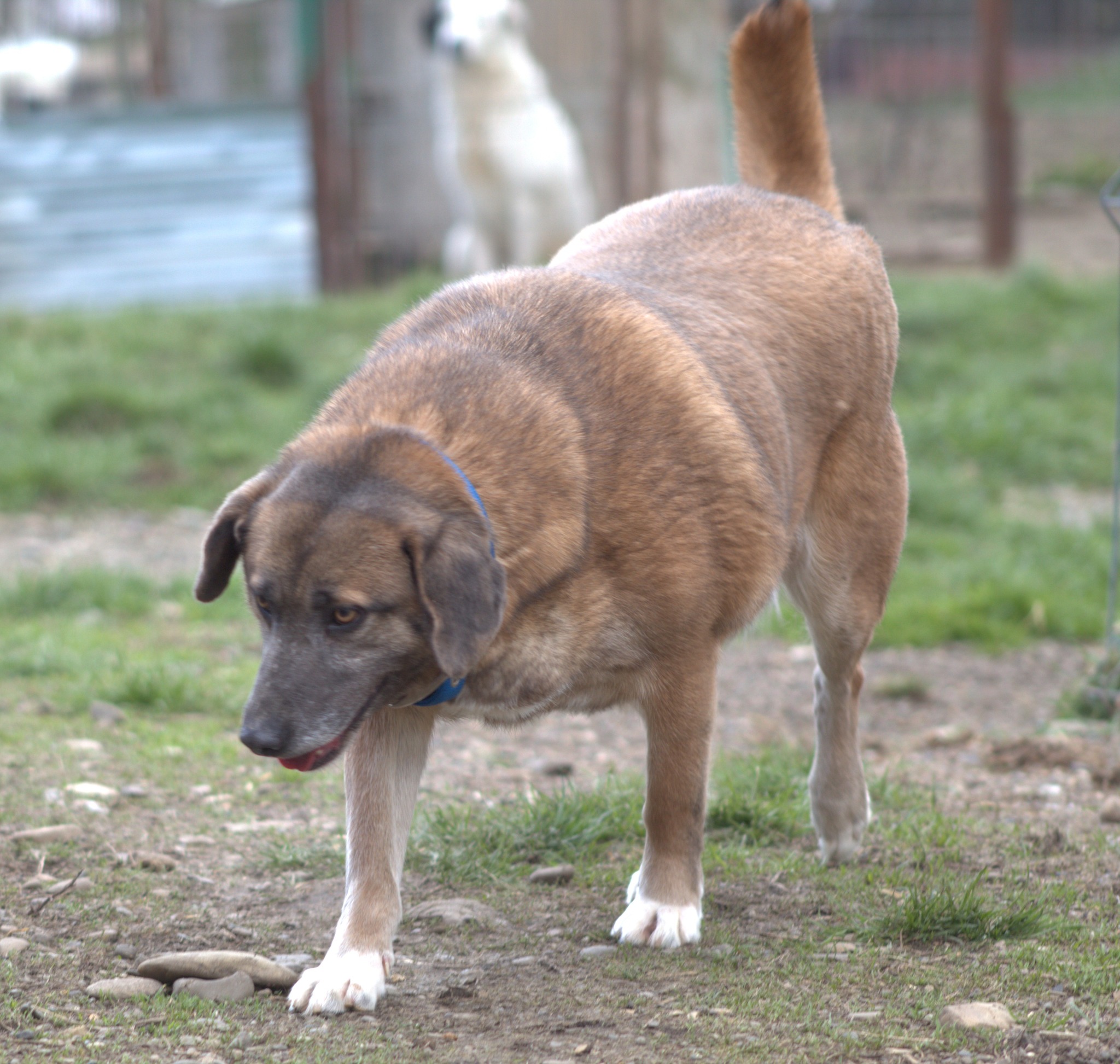 Miranda Casa lui Patrocle 4