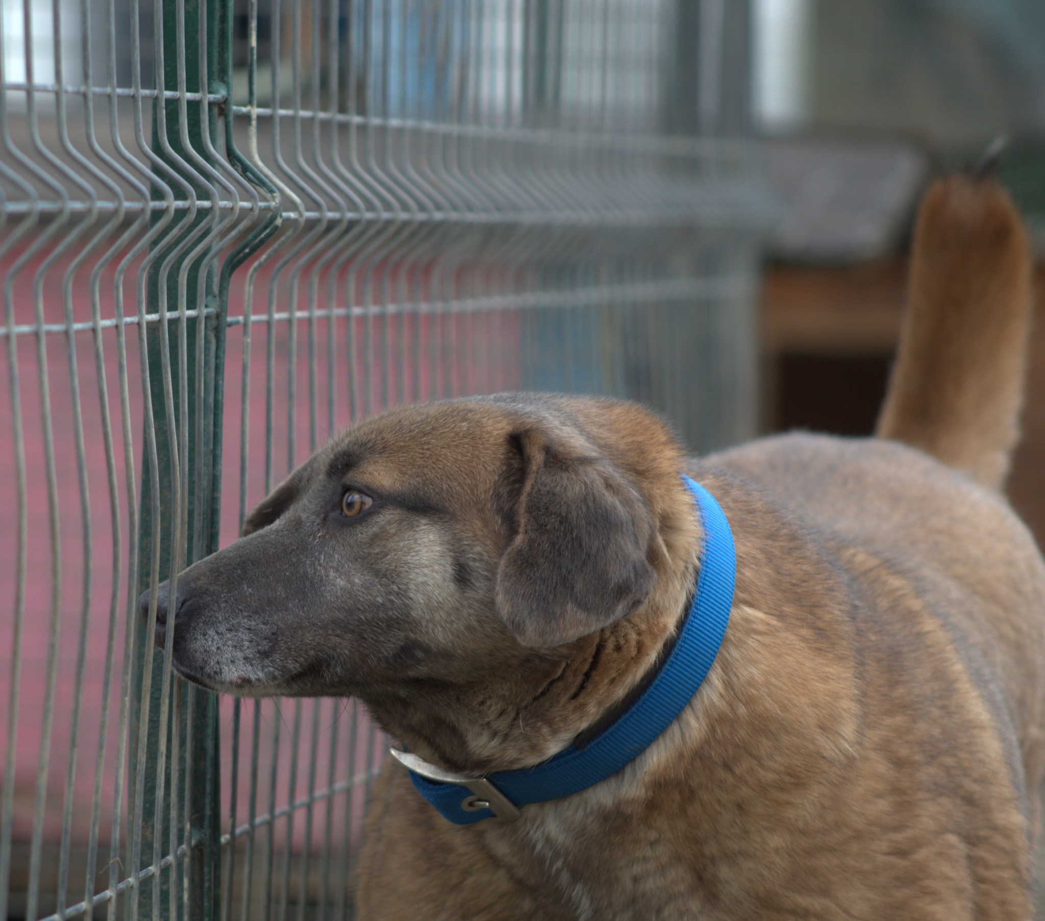 Miranda Casa lui Patrocle 5