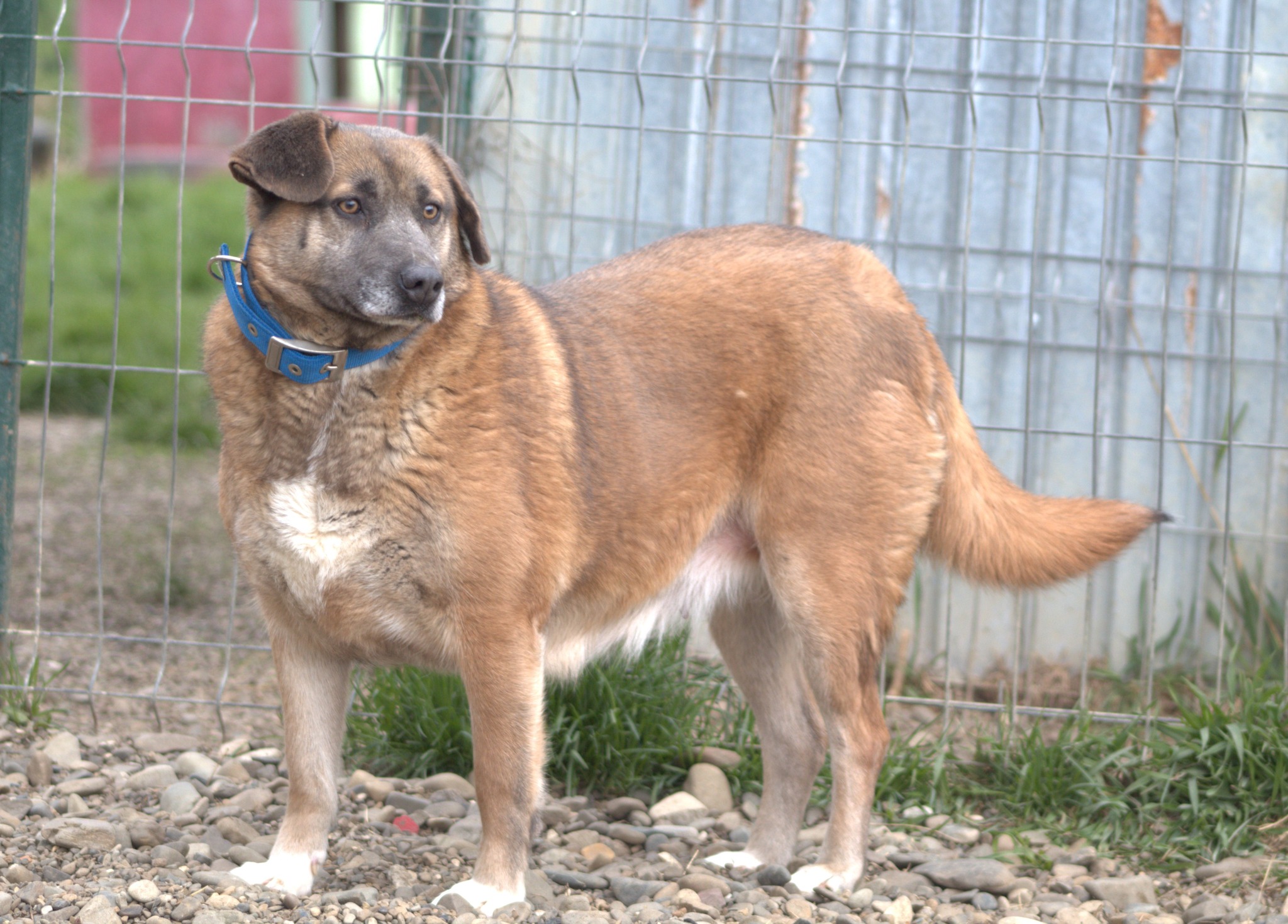 Miranda Casa lui Patrocle 6